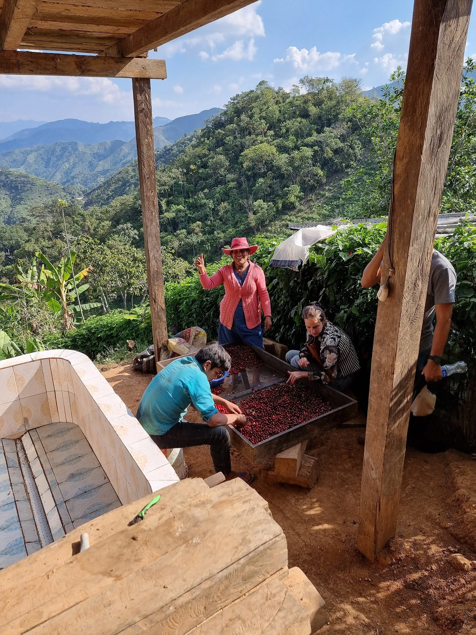 Lizana & Bara de Falcon.jpg