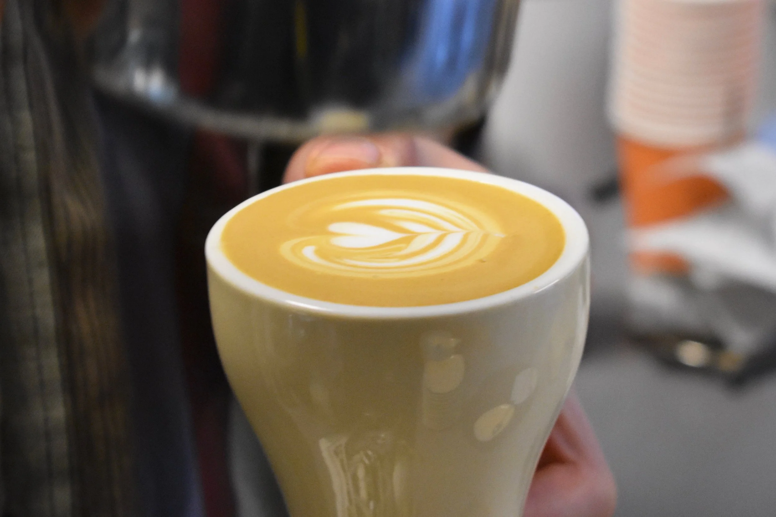 Barista Basics Workshop