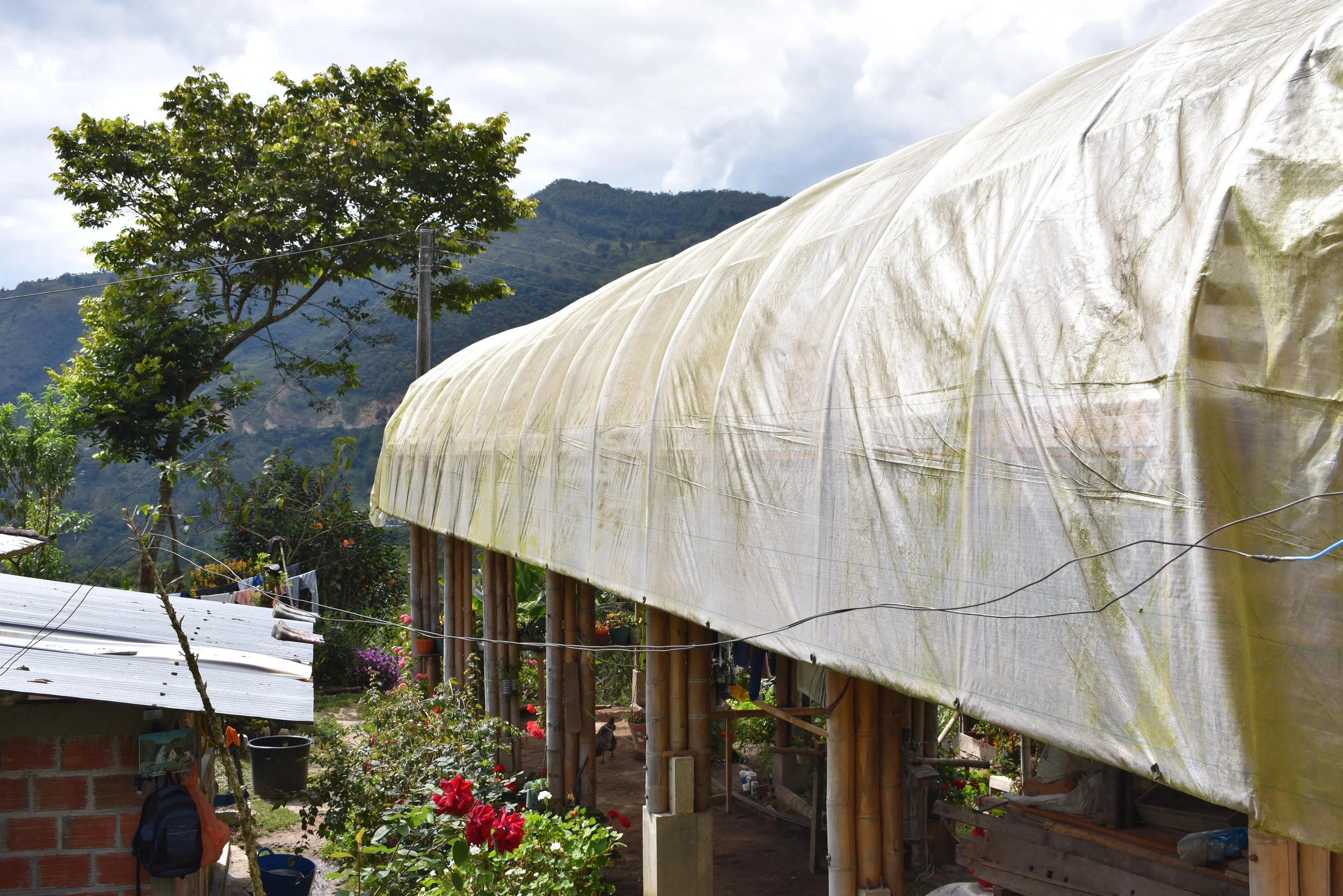 Adriano Pillimue Drying structure.jpg