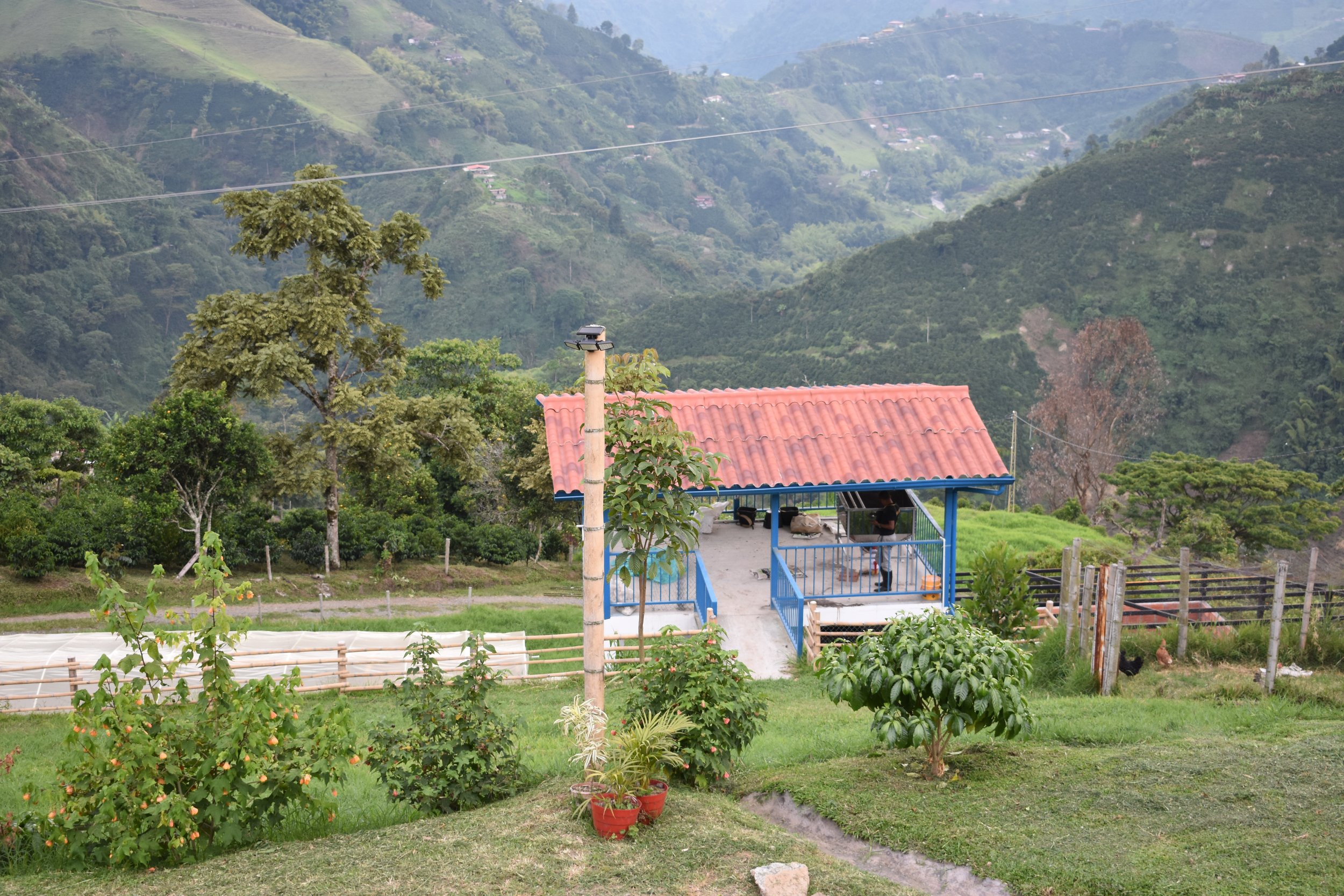 DSC_0557.JPG