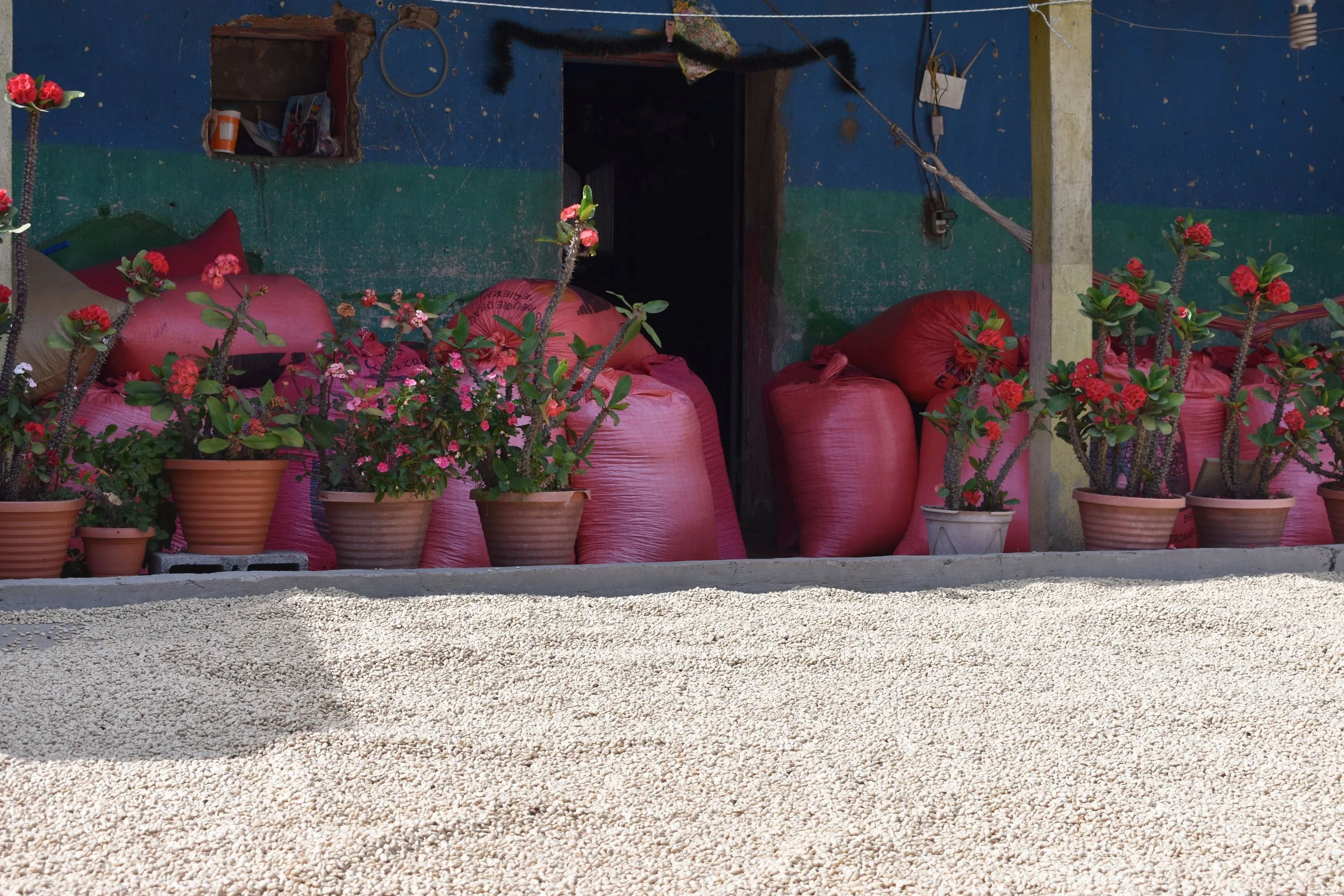 Los Nisperos farm, Guatemala.JPG