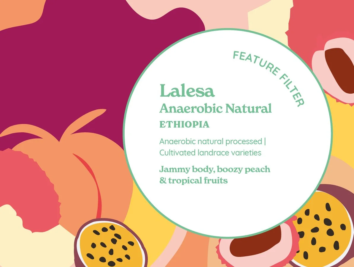 LalesaAnaerobic_Fil_AW101x76_251211.jpg
