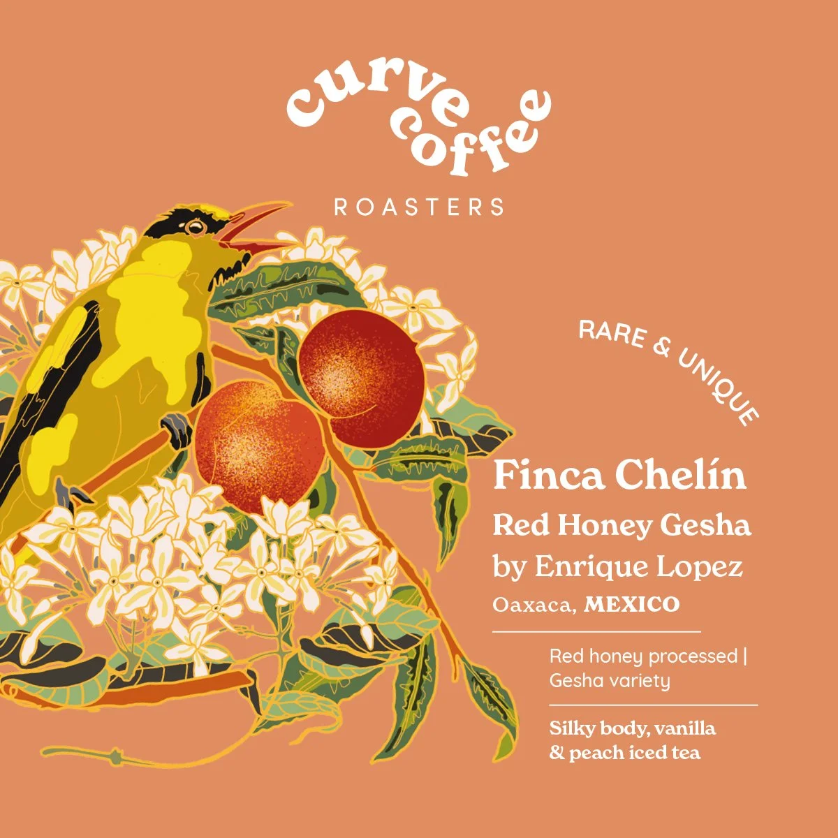 RARE & UNIQUE | FINCA CHELIN Red Honey Gesha by ENRIQUE LOPEZ | Mexico