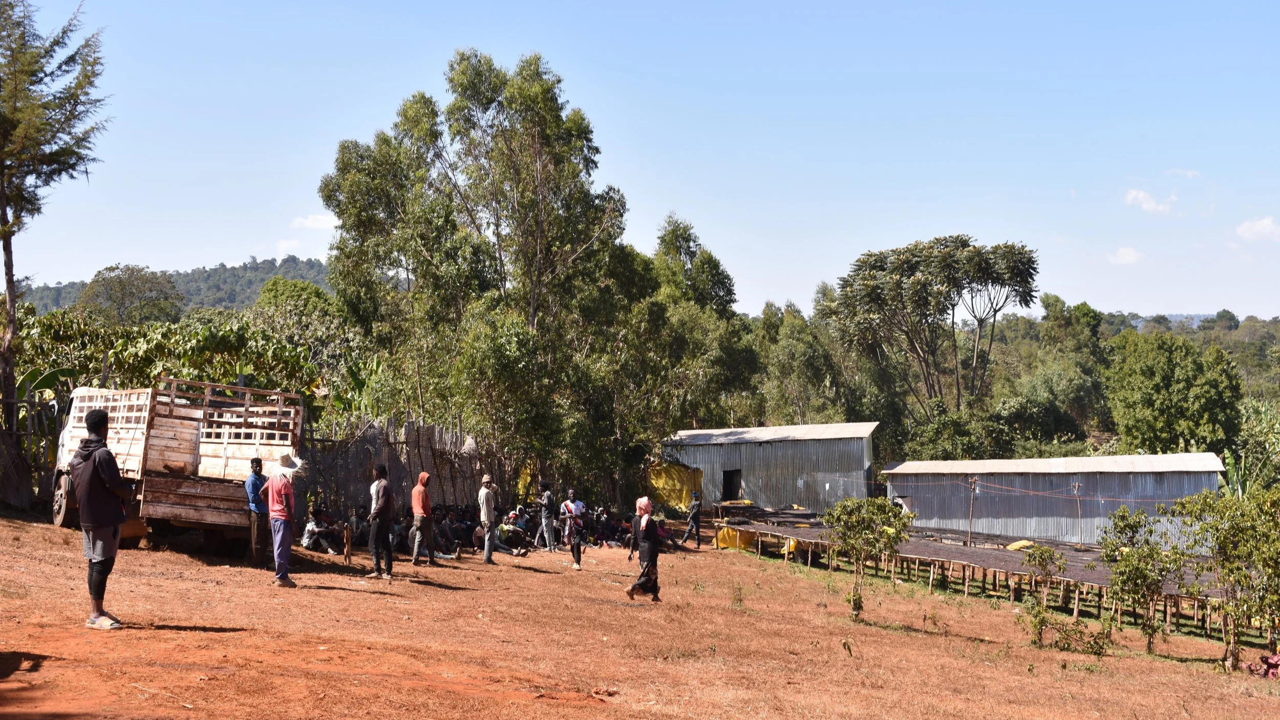 DSC_0705.png