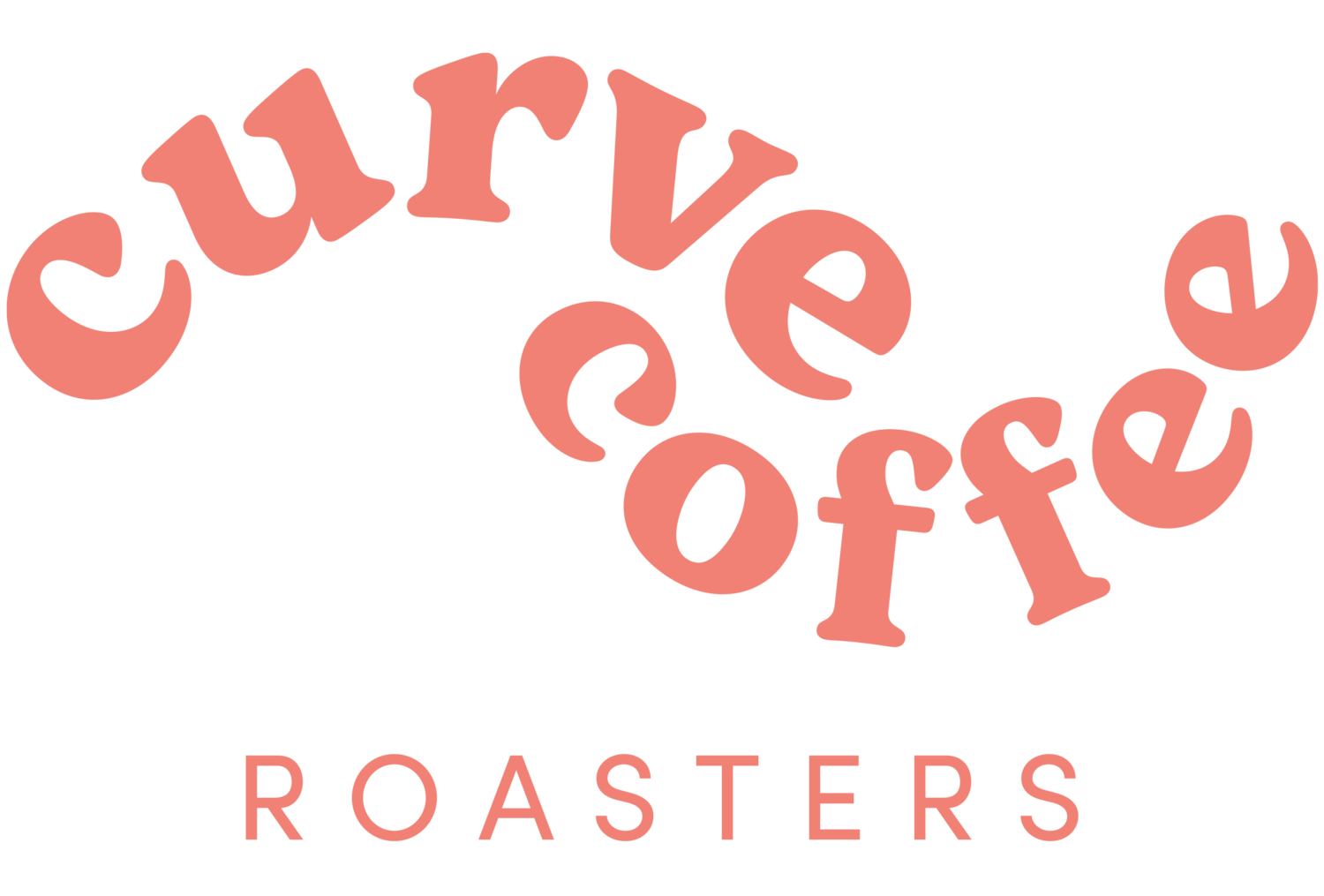 Curve Coffee Roasters