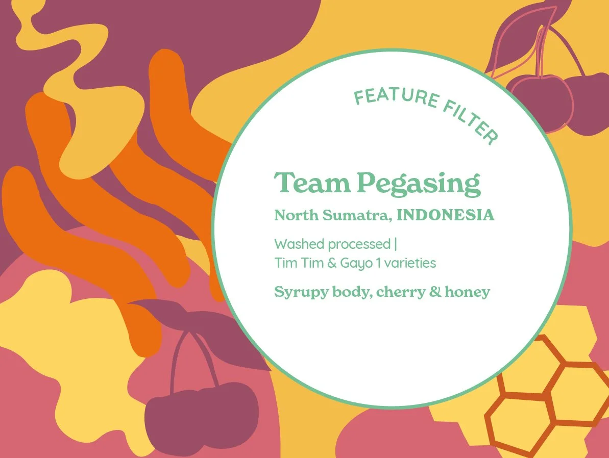 Team Pegasing_Wash_Fil_V2_AW101x76_250903.jpg