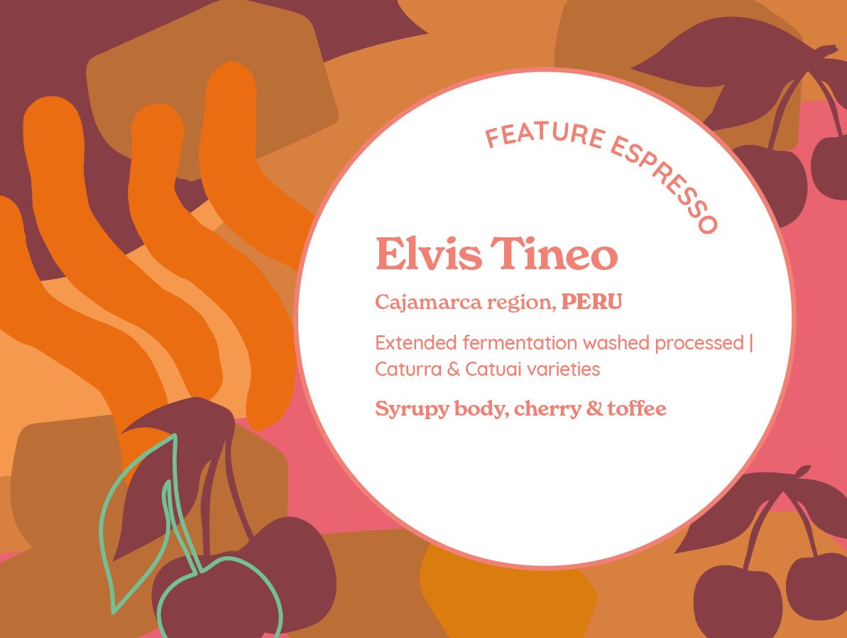 ElvisTineo_FeatureESP_AW101x76_250424.jpg