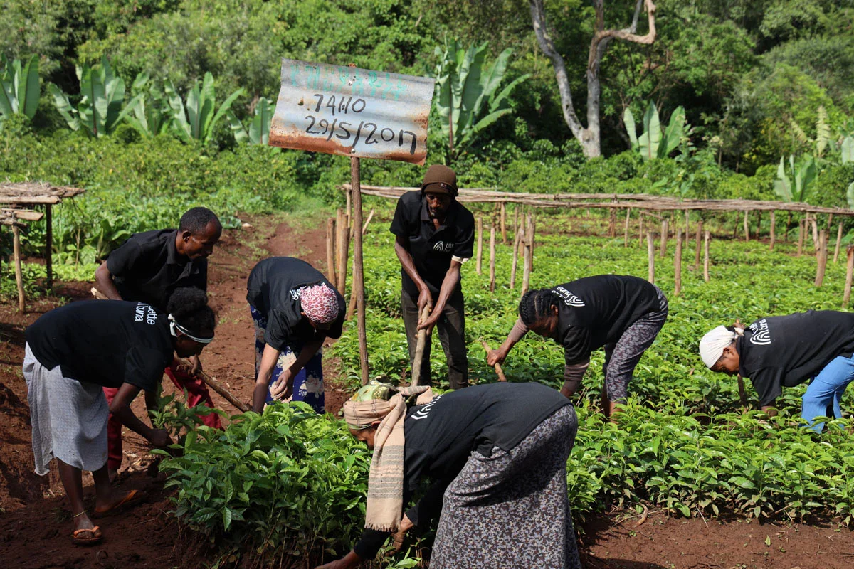 Bette Buna Community.webp