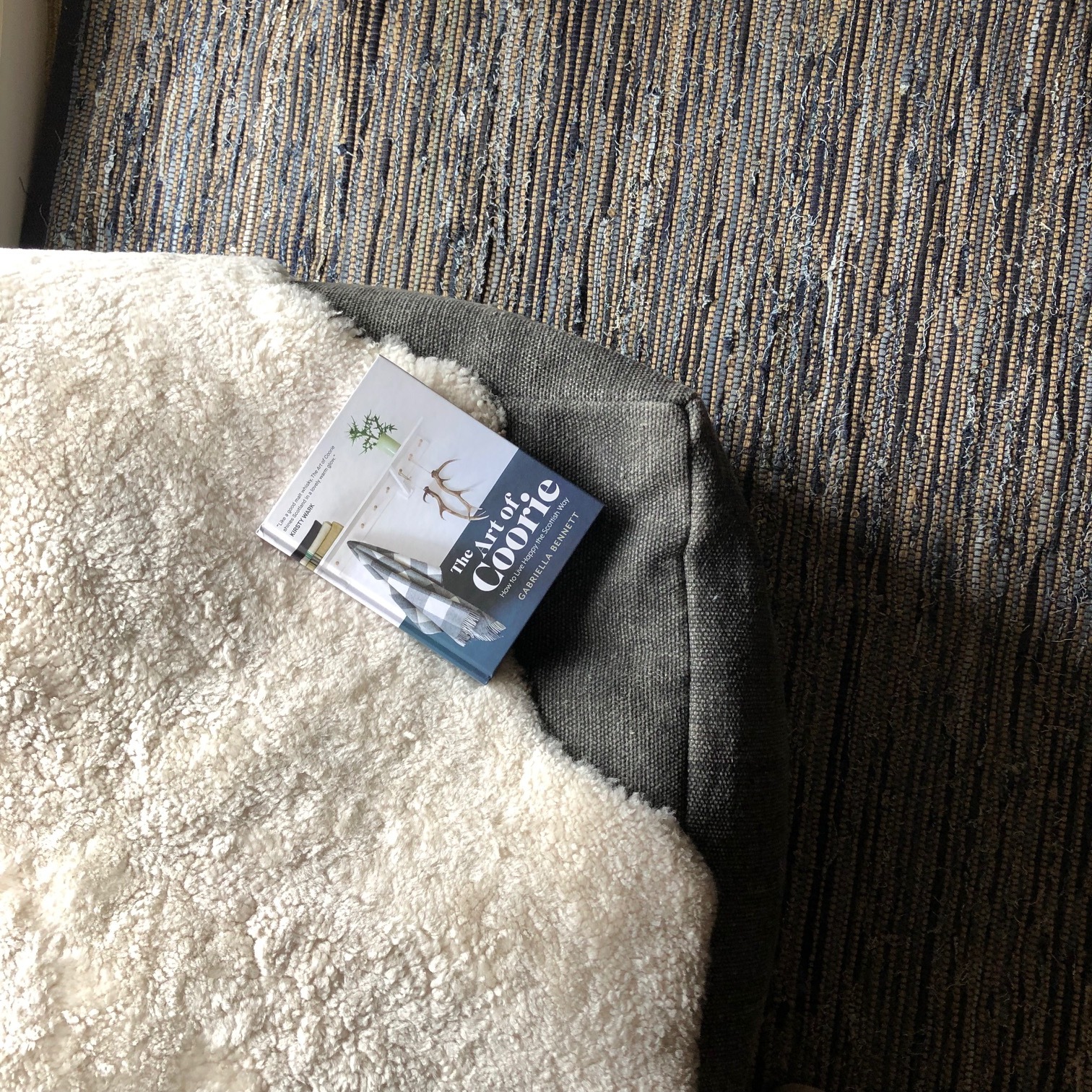 image1 (3).jpeg