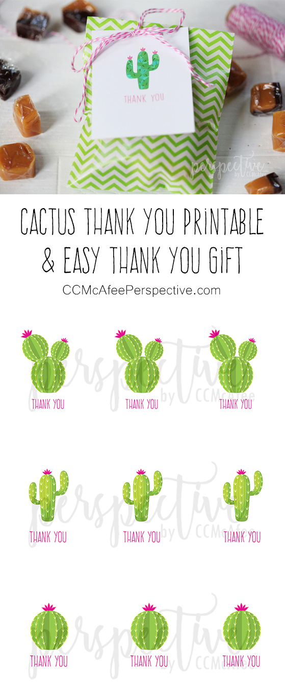 cactus.jpg