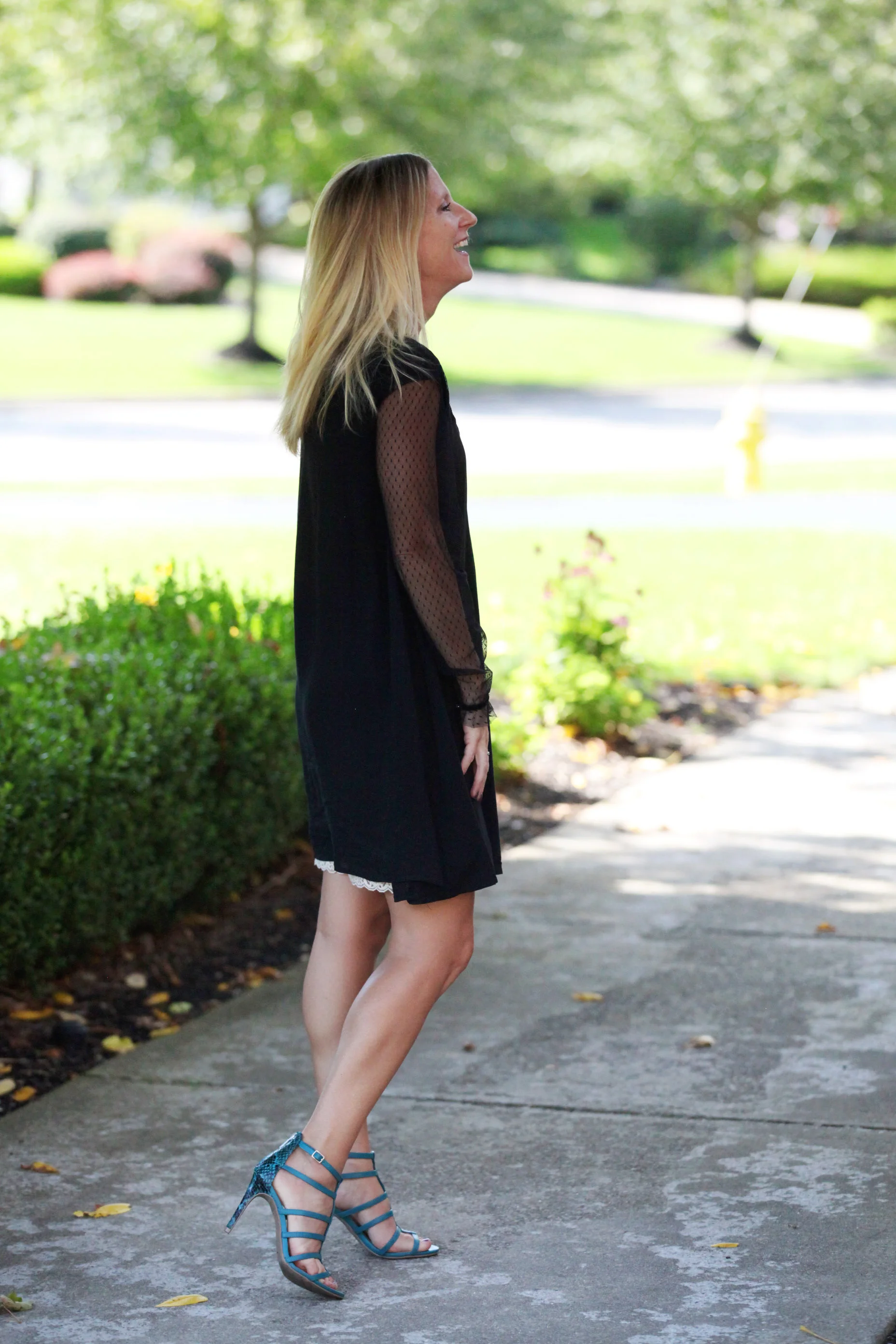 sheer sleeves