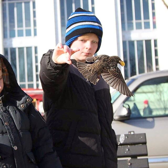 #fbf... to feeding the birds in DC. ..
..
G was the most brave, without even a flinch as the birds came to him. 
This is a dang cool capture if I do say so myself!
..
..
#fbf❤️ #fbfriday #fbfphoto  #everydayphoto #everydayphotography #photo_of_the_da