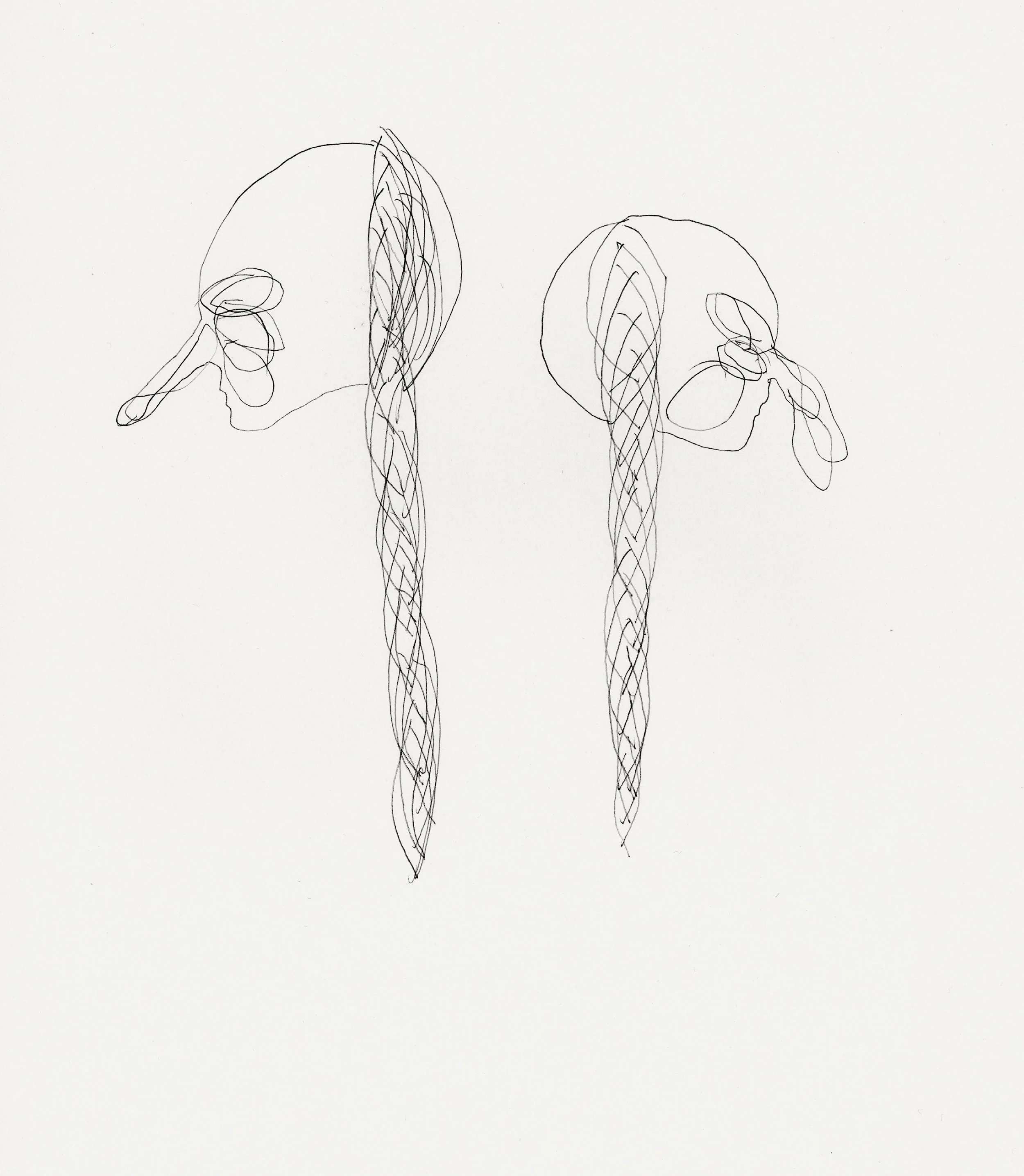 Untitled, 2010 pen on paper 23,5 x 29cm