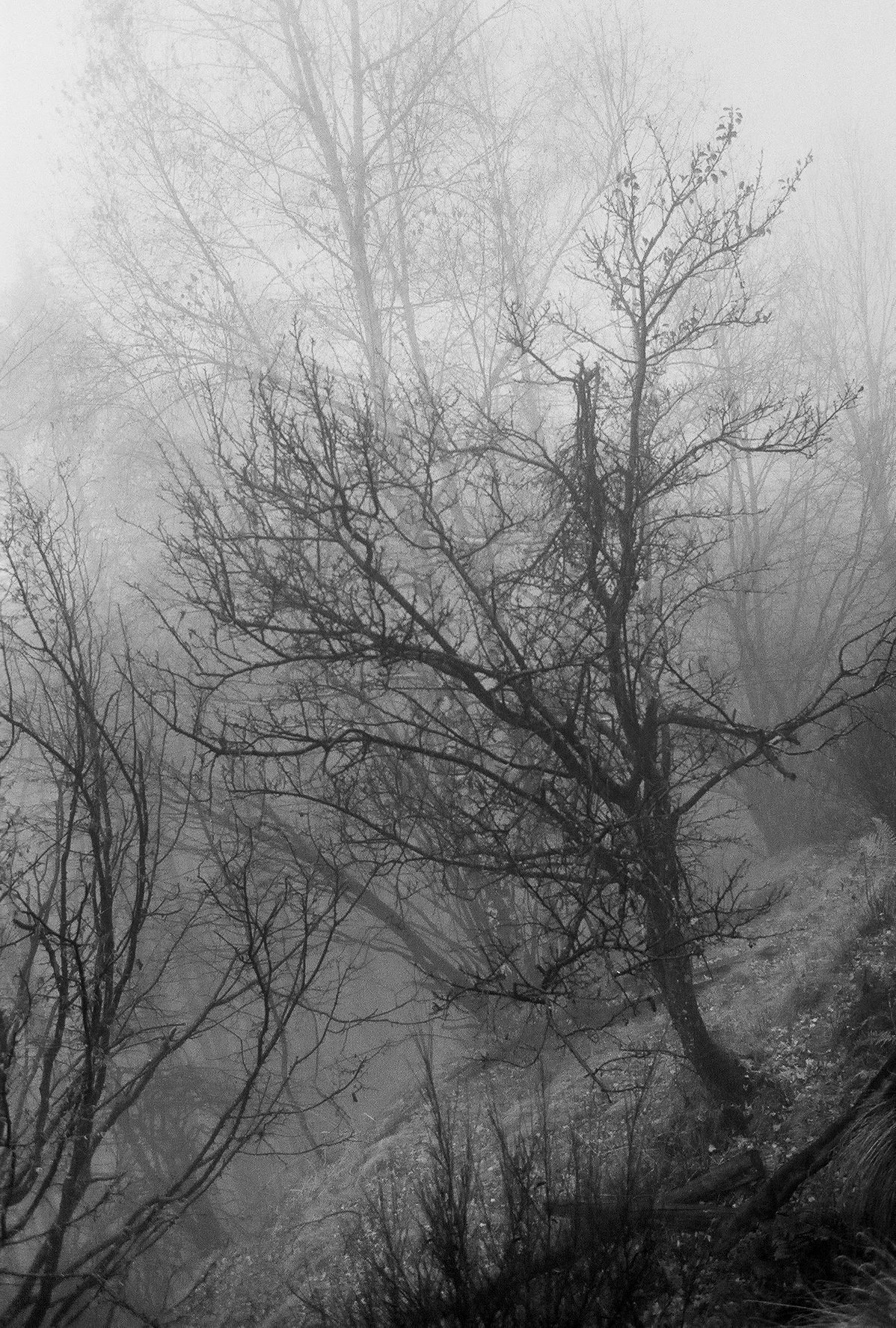 aus der Serie "Dall'Alto" ab 2016