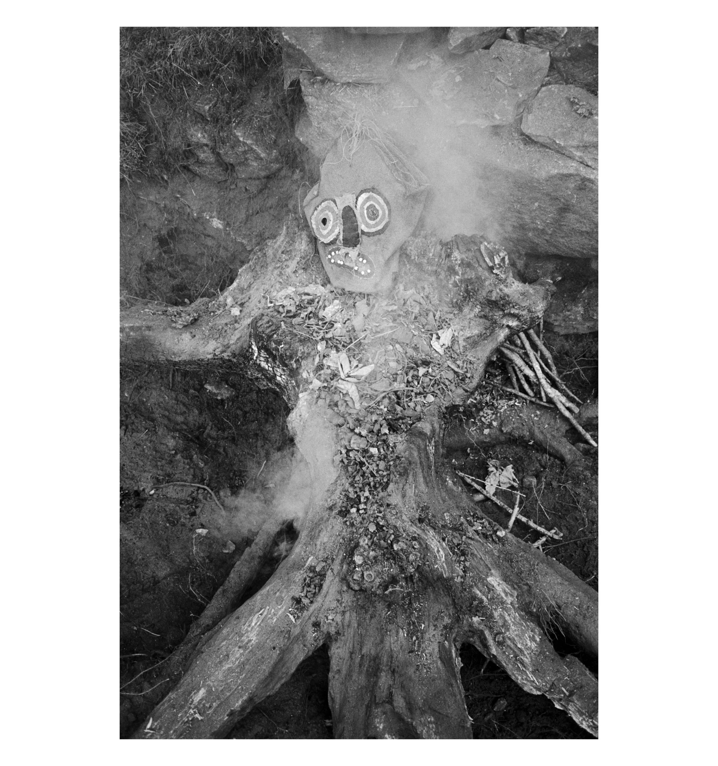 TRI_NBissig_HRScan_09_megi.jpg