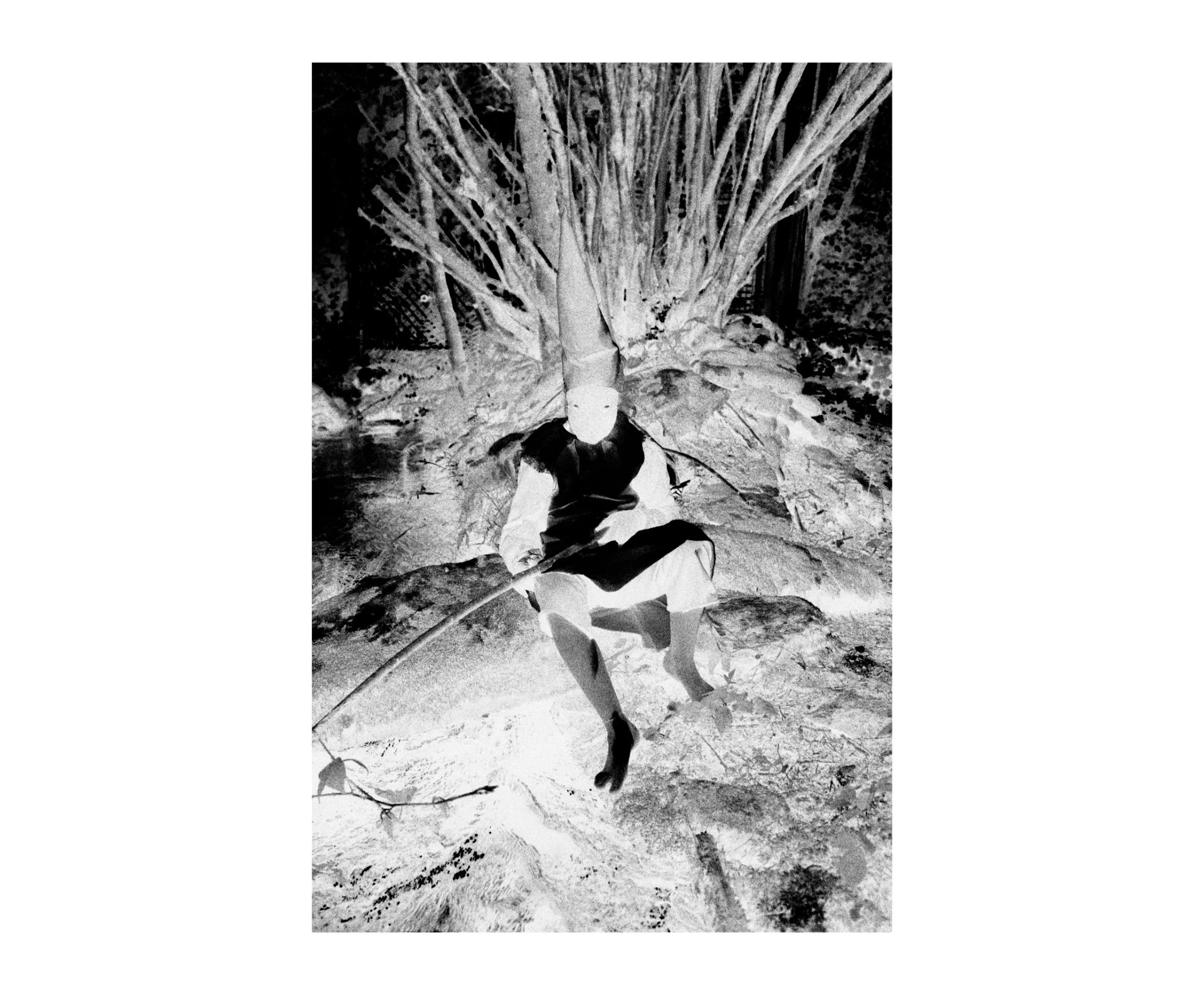 DSCF0752_invert_web.jpg