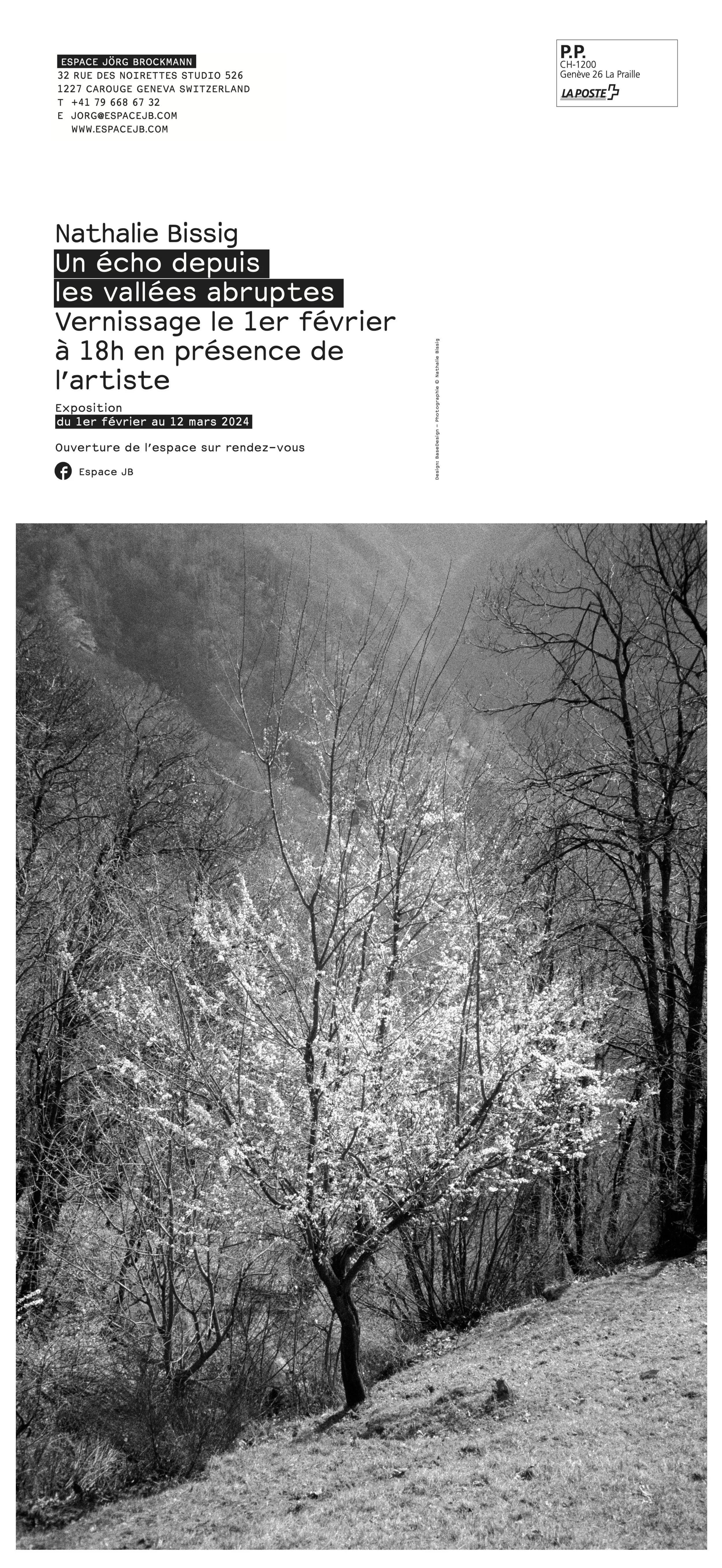 2019_DALL ALTO_LANDSCAPE_1.jpg