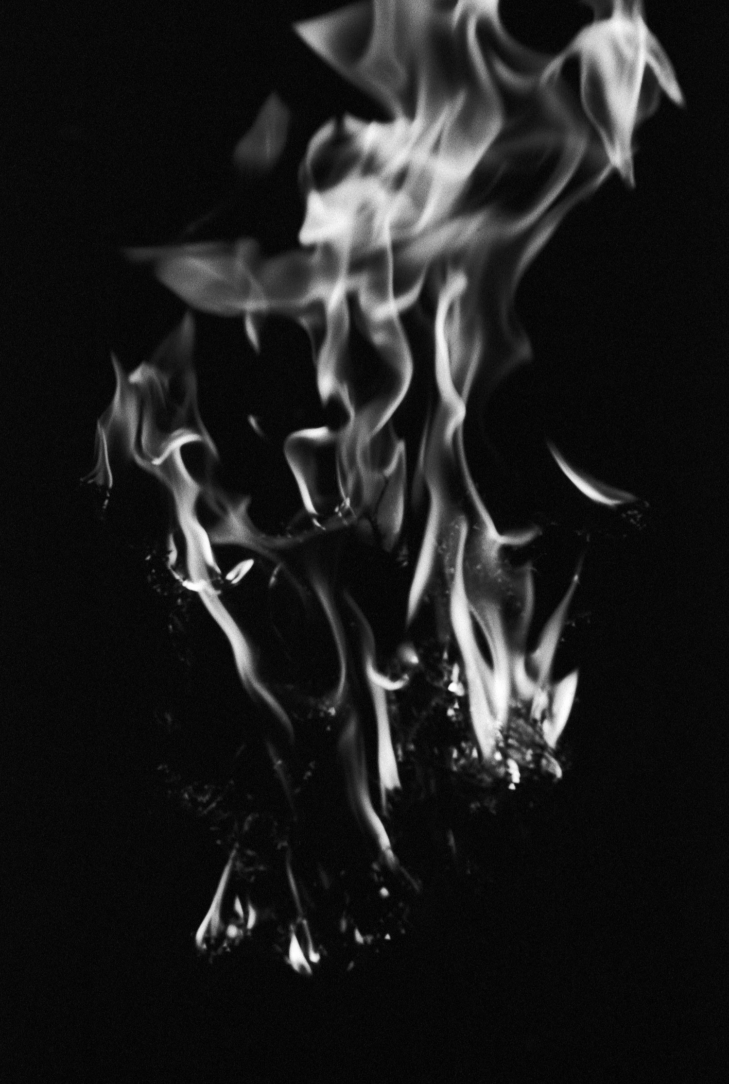 2019_DALL ALTO_OTHER_8.jpg