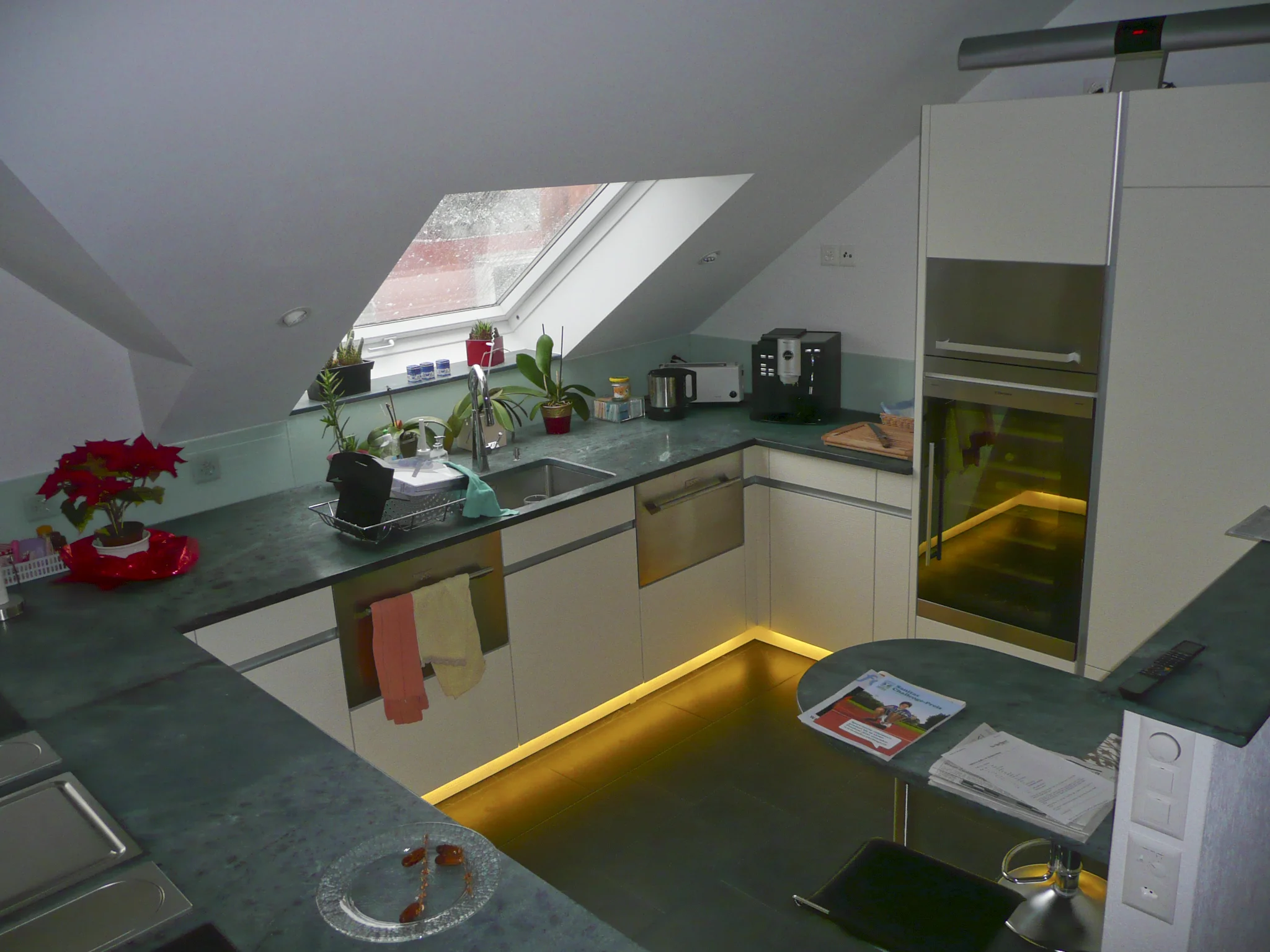 P1000648.jpg