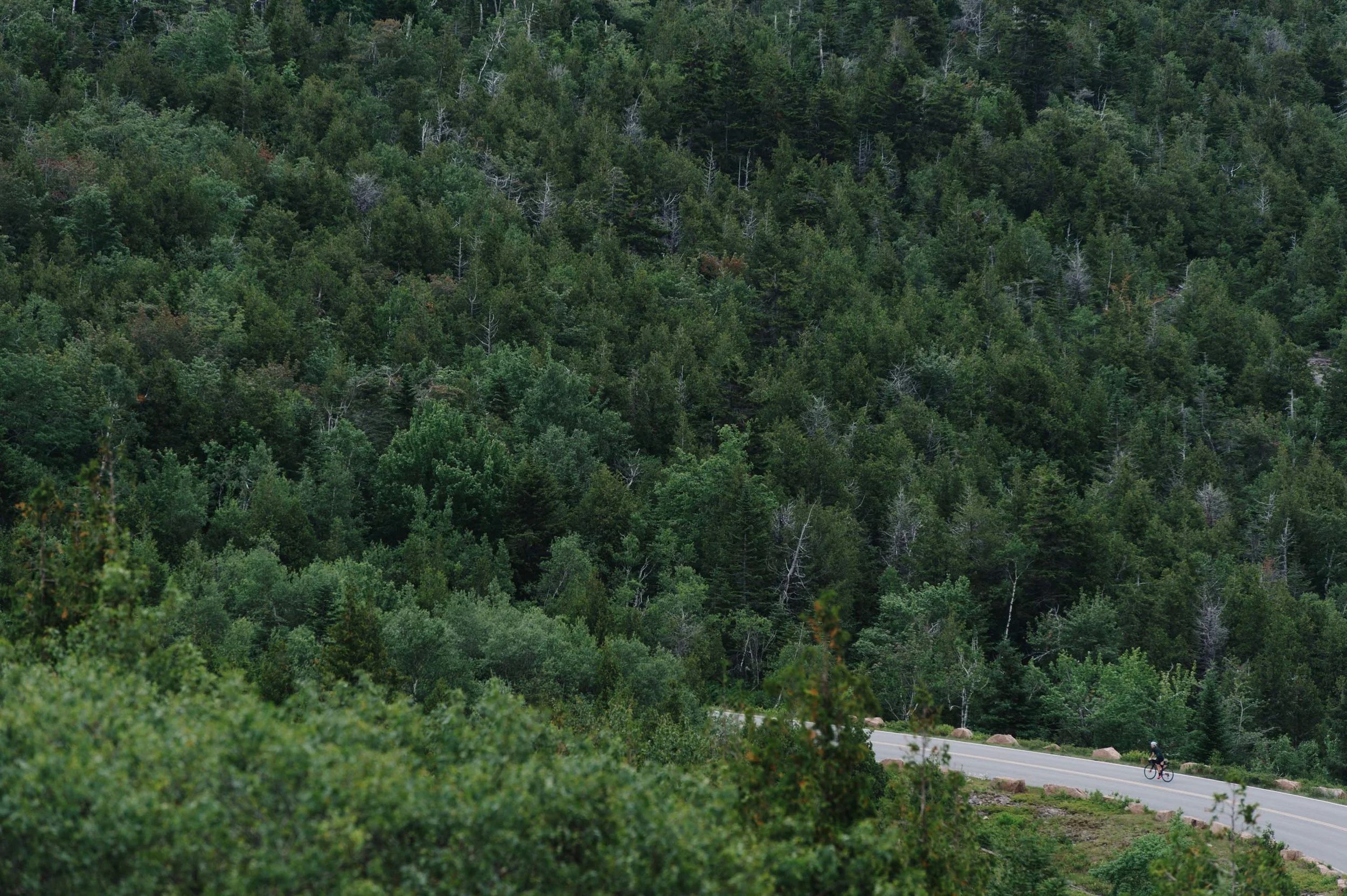Photo-Rhetoric-Vermont-to-Maine-143.jpg