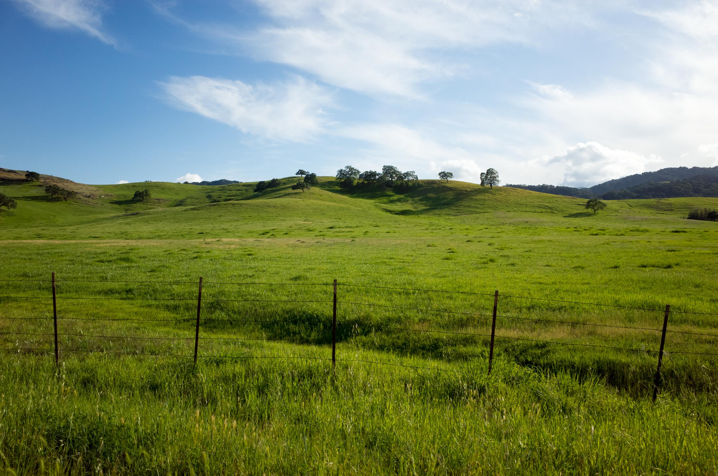 Photo-Rhetoric-NorCal-Day-2-1019.jpg