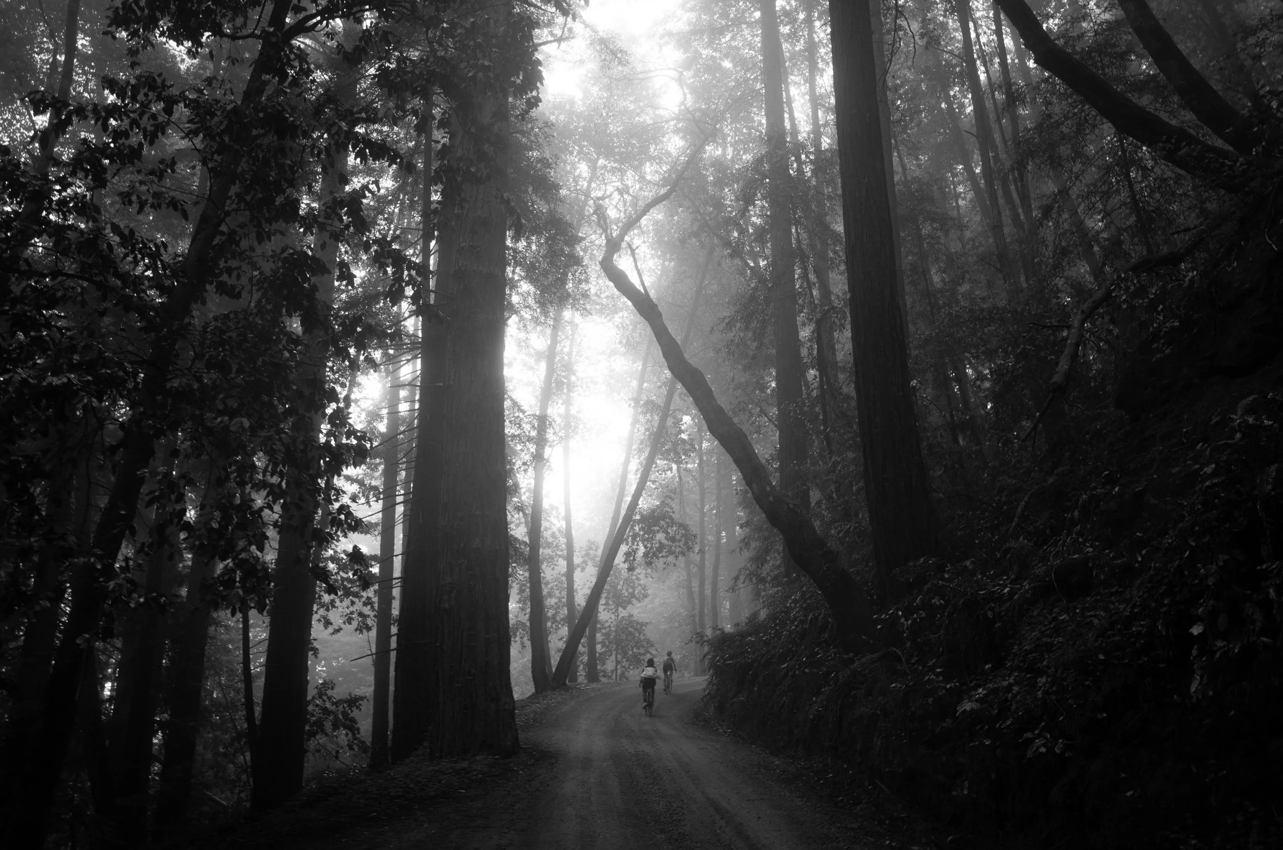 Photo-Rhetoric-NorCal-Day-2-1006.jpg