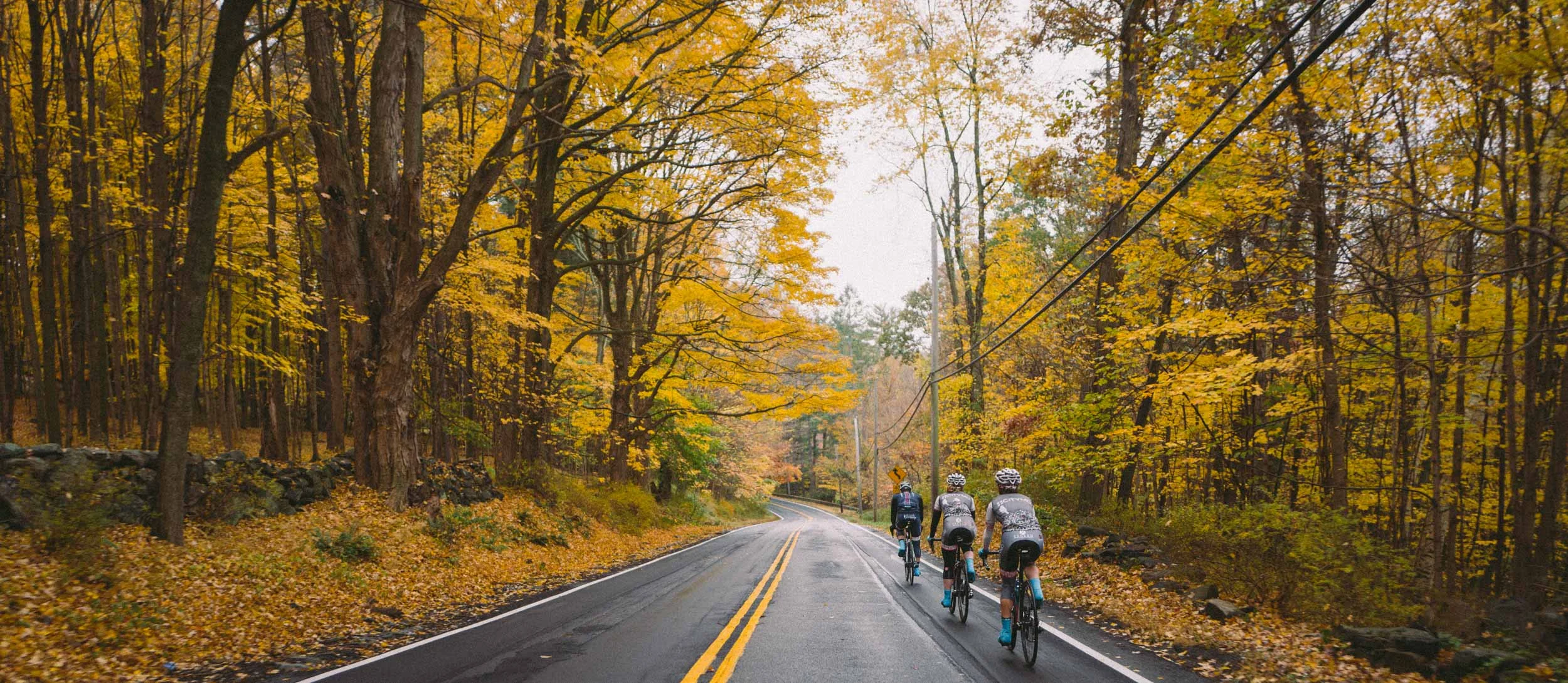 Photo-Rhetoric-Cycling-in-Westchester-1000.jpg