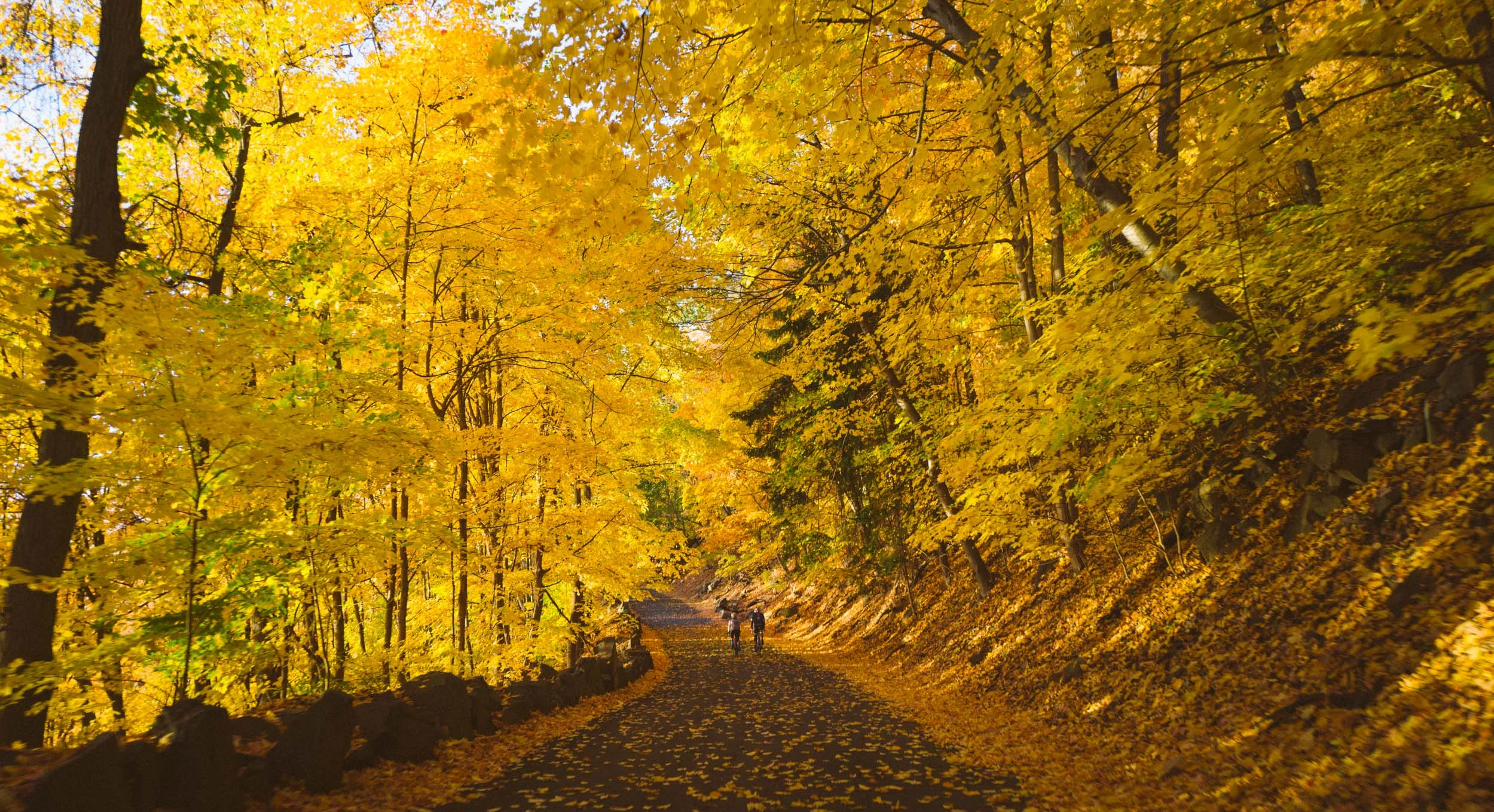 Photo-Rhetoric-River-Road-AM-2006.jpg