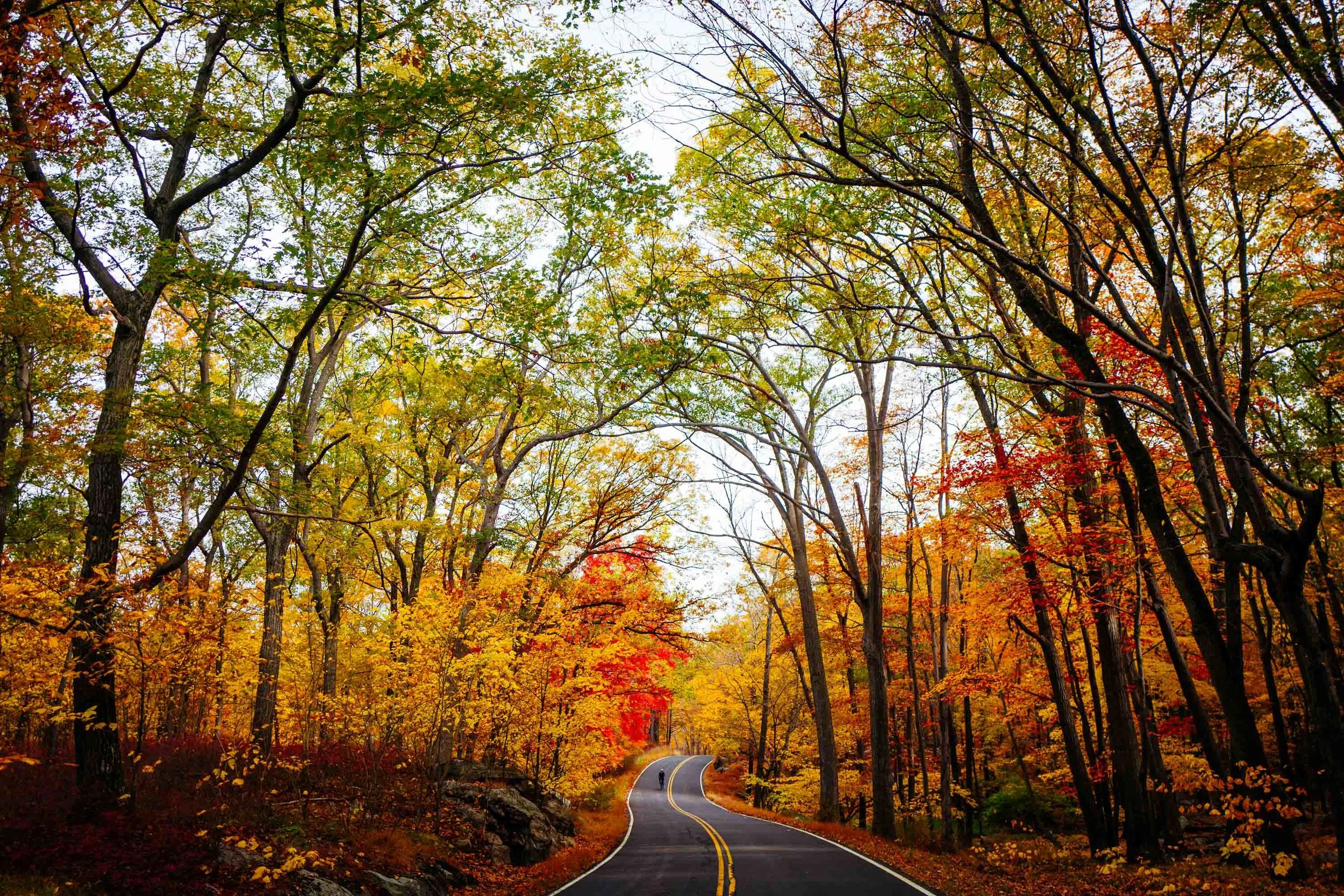 Photo-Rhetoric-Bear-Mountain-Feature-2000.jpg