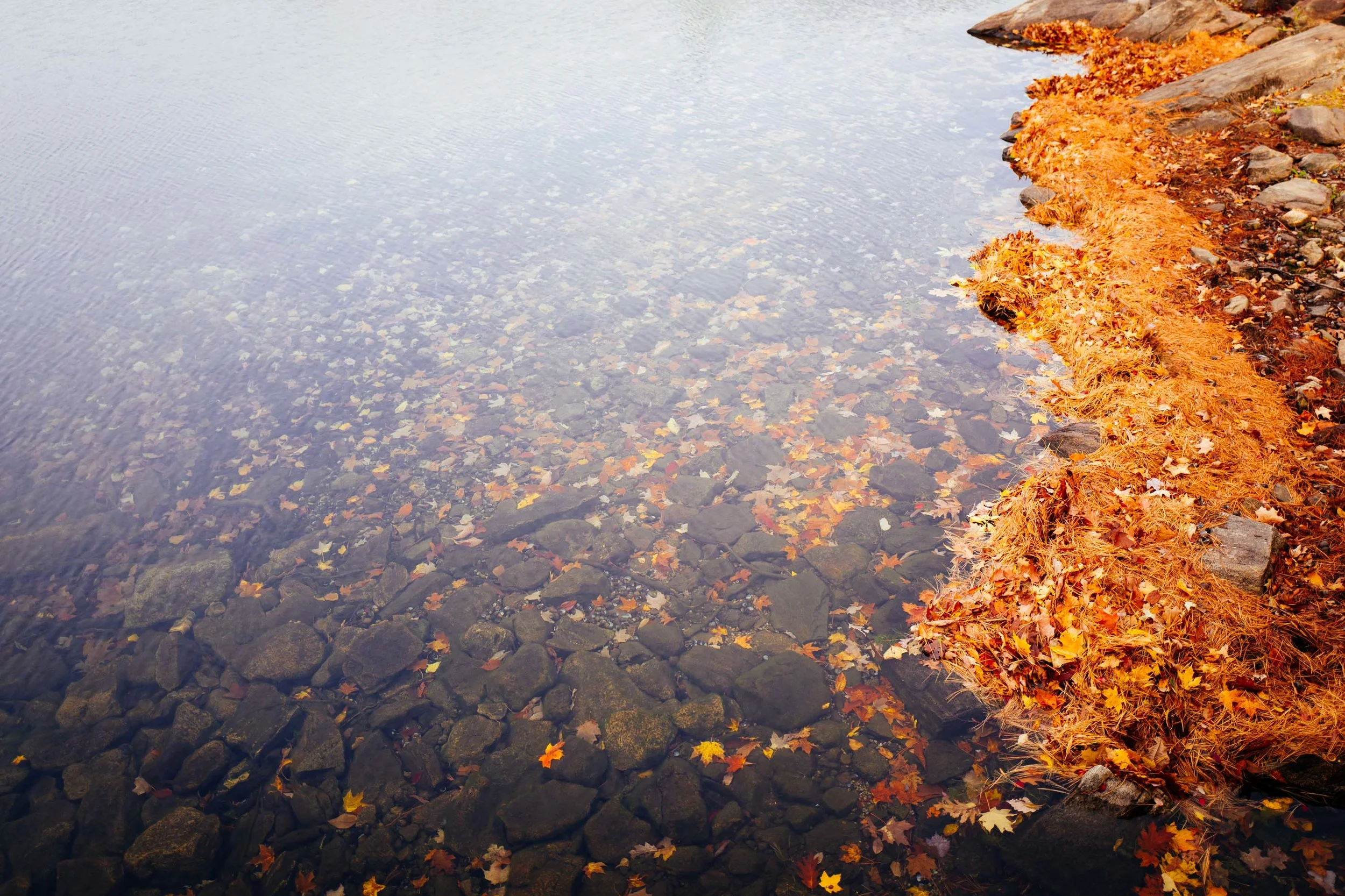 Photo-Rhetoric-Bear-Mountain-Feature-1017.jpg