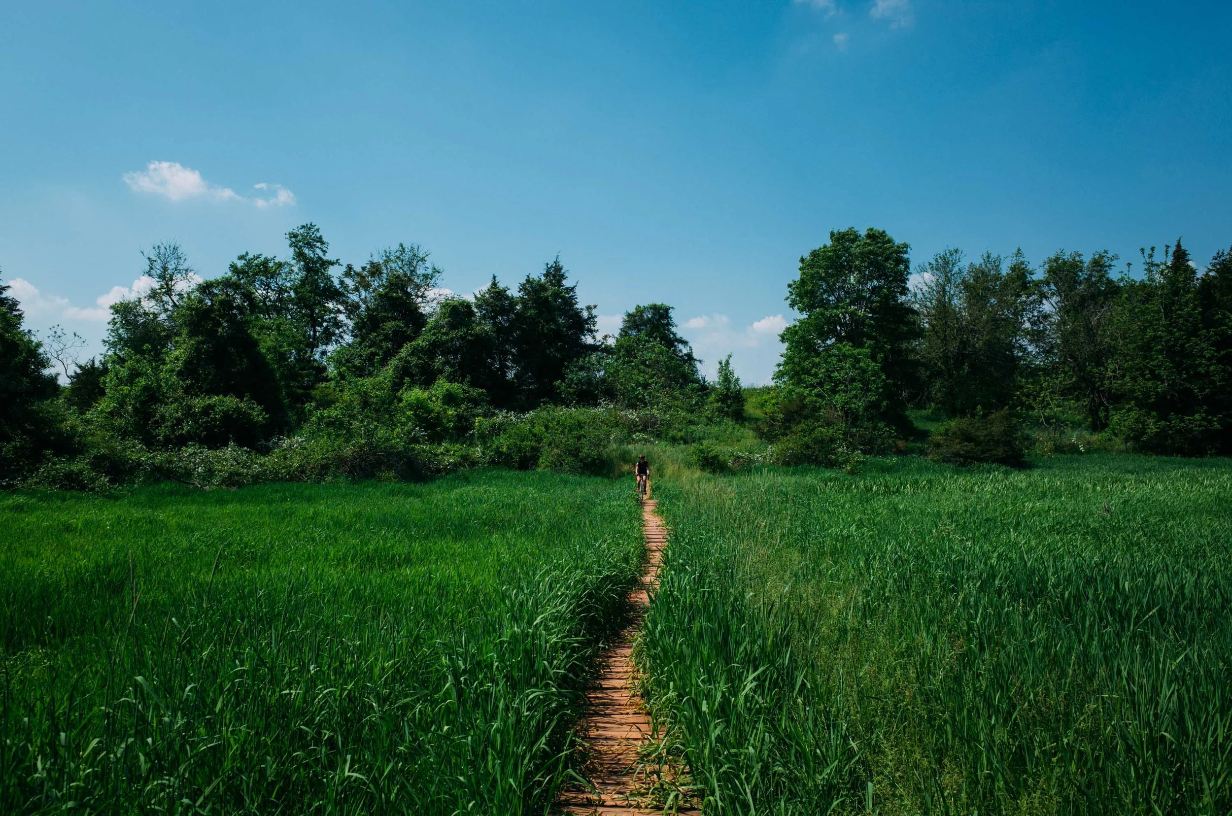 Photo Rhetoric - Six Mile Run-1044.jpg