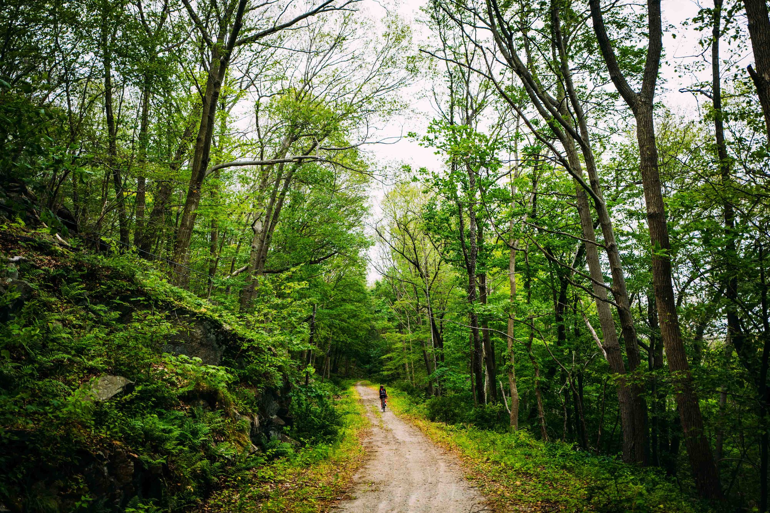 Photo Rhetoric - Bikepacking Part 1-1093.jpg