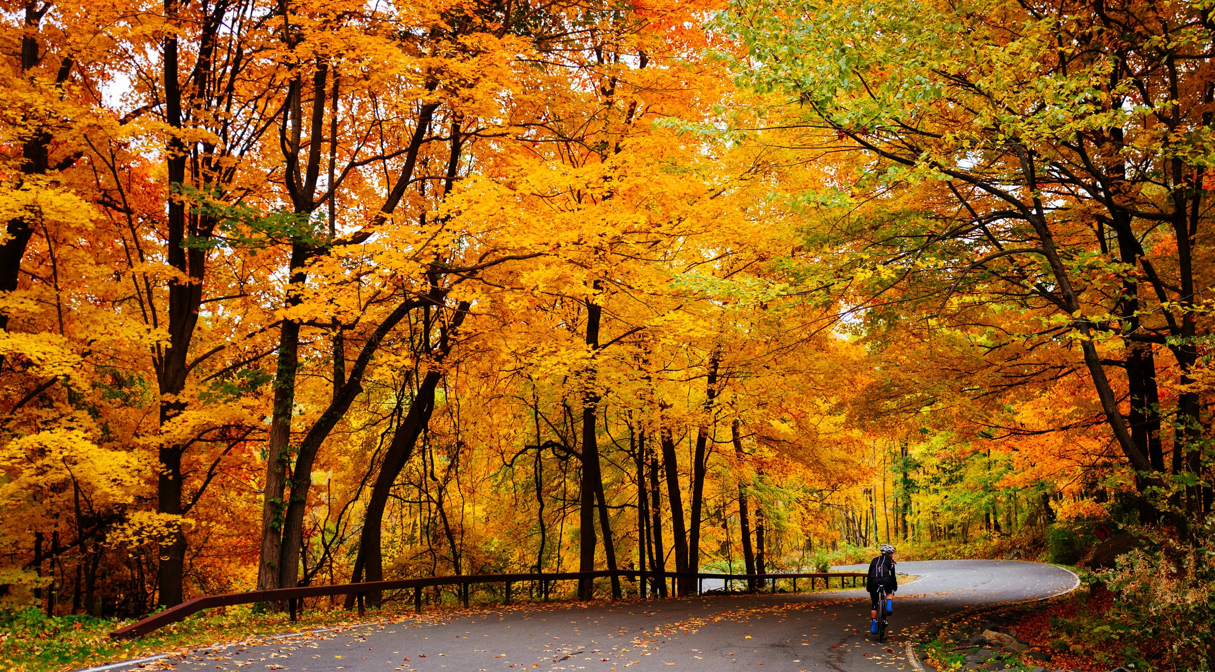 Photo Rhetoric - Black Rock Forest-1001.jpg