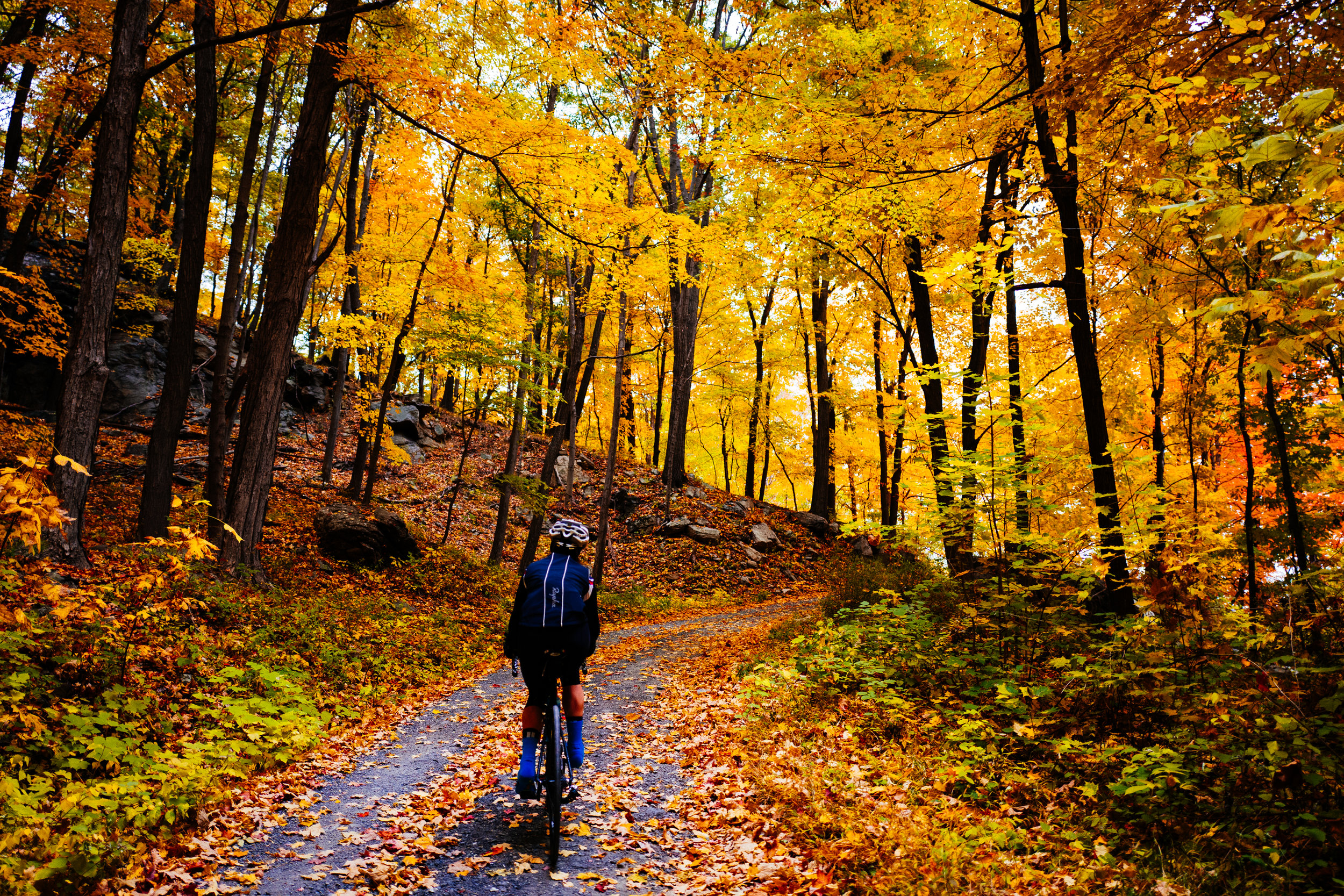 Photo Rhetoric - Black Rock Forest-1002.jpg