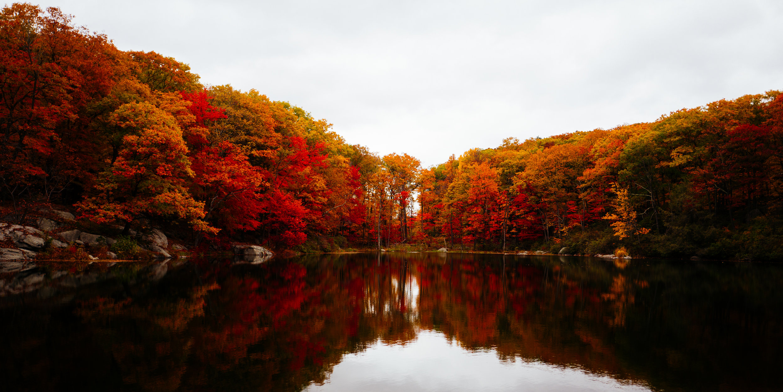 Photo Rhetoric - Black Rock Forest-1004.jpg