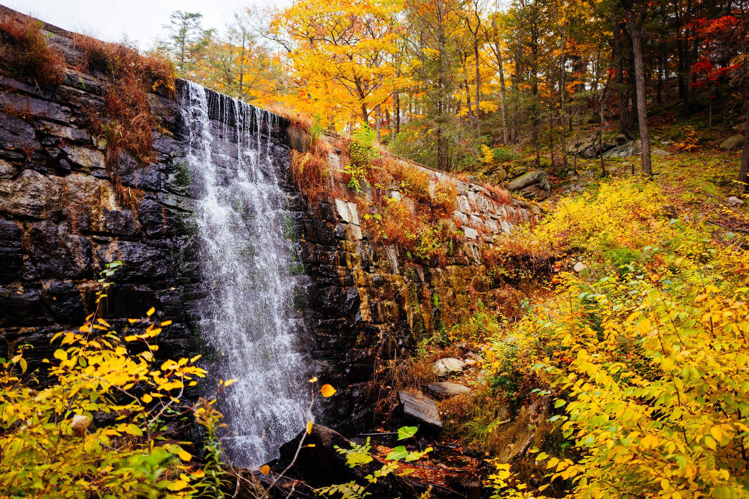 Photo Rhetoric - Black Rock Forest-1006.jpg