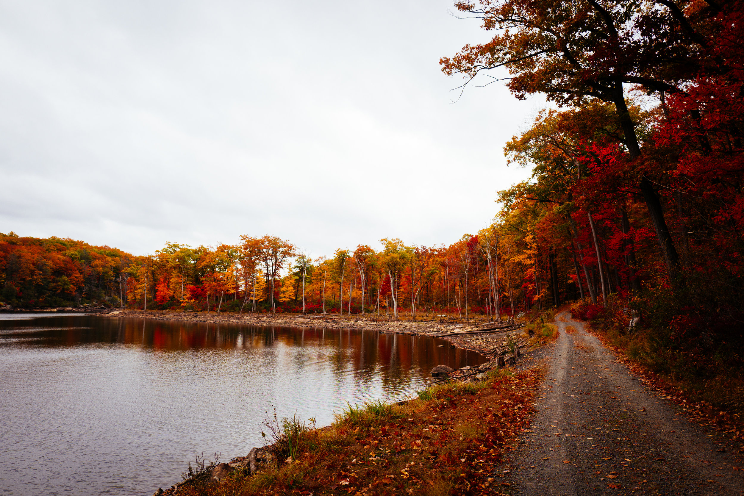 Photo Rhetoric - Black Rock Forest-1010.jpg