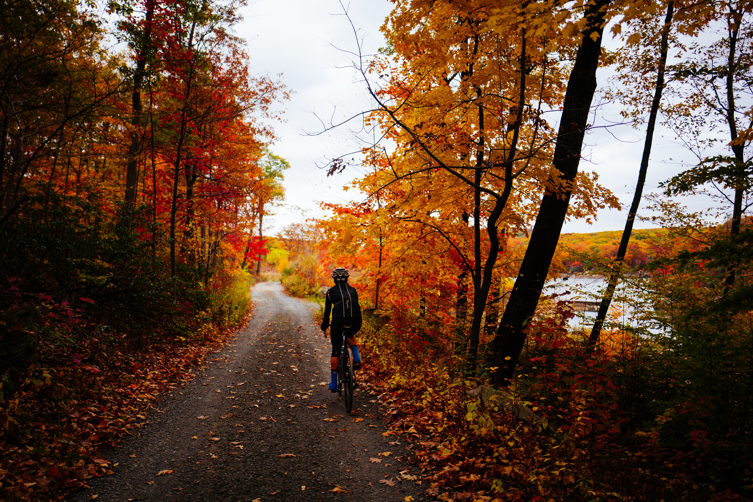 Photo Rhetoric - Black Rock Forest-1009.jpg