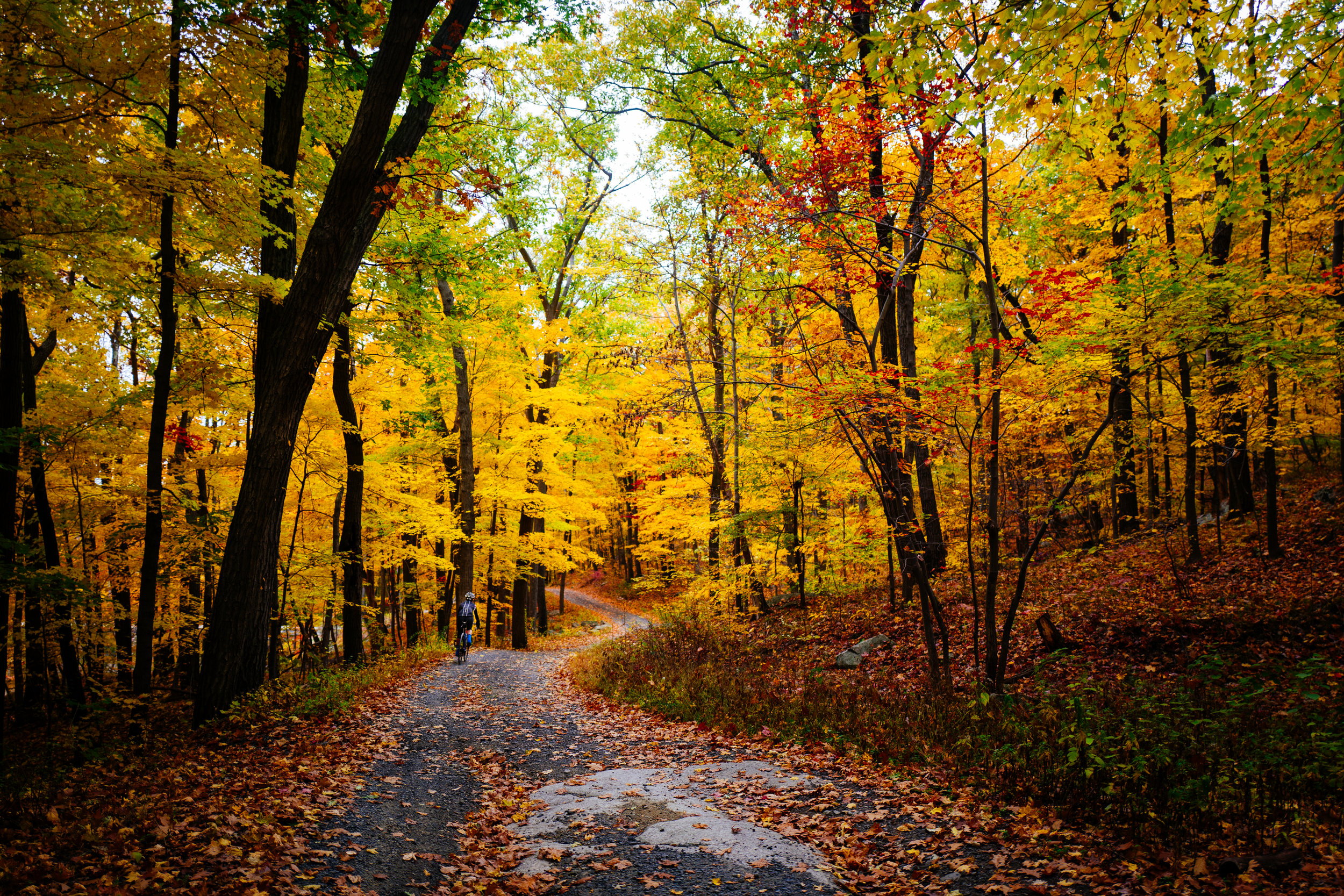 Photo Rhetoric - Black Rock Forest-1011.jpg