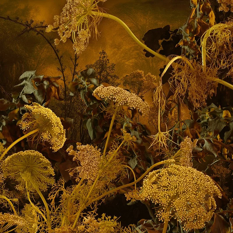   Authors: Tortora+Travezán  