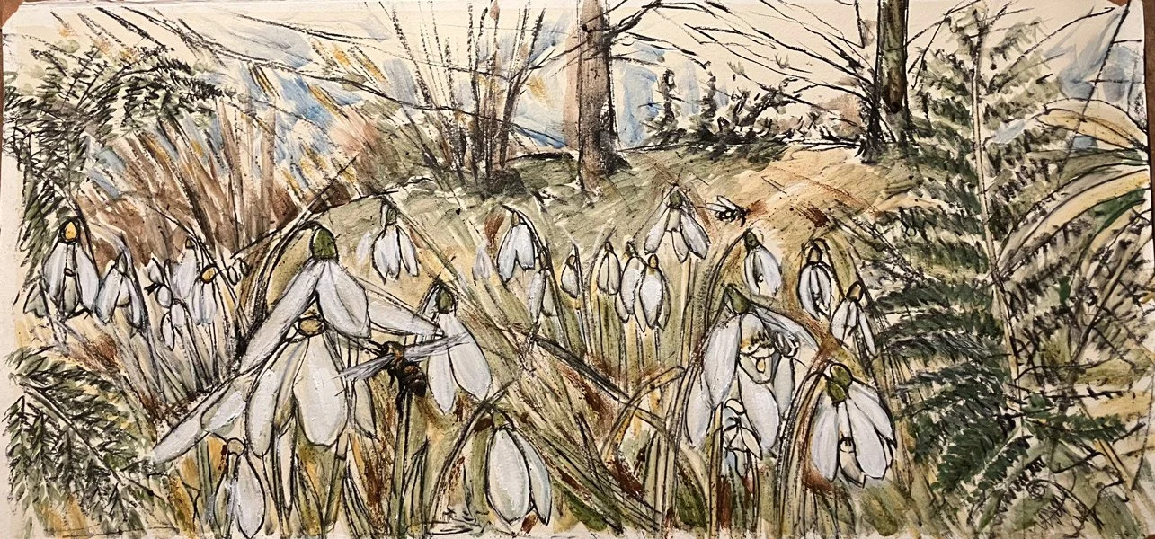 1:Snowdrop ballet.jpg