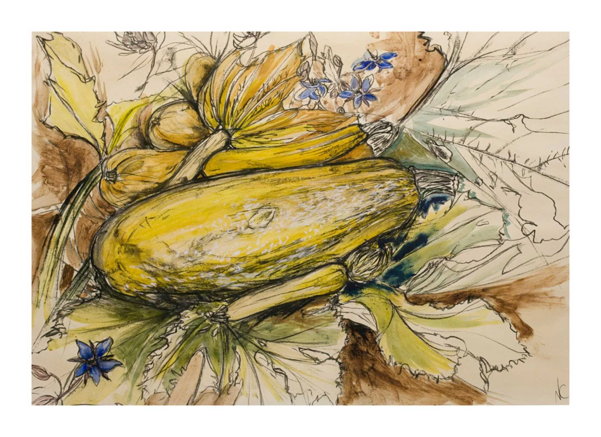 courgette-&-borage---natasha-clutterbuck.jpg