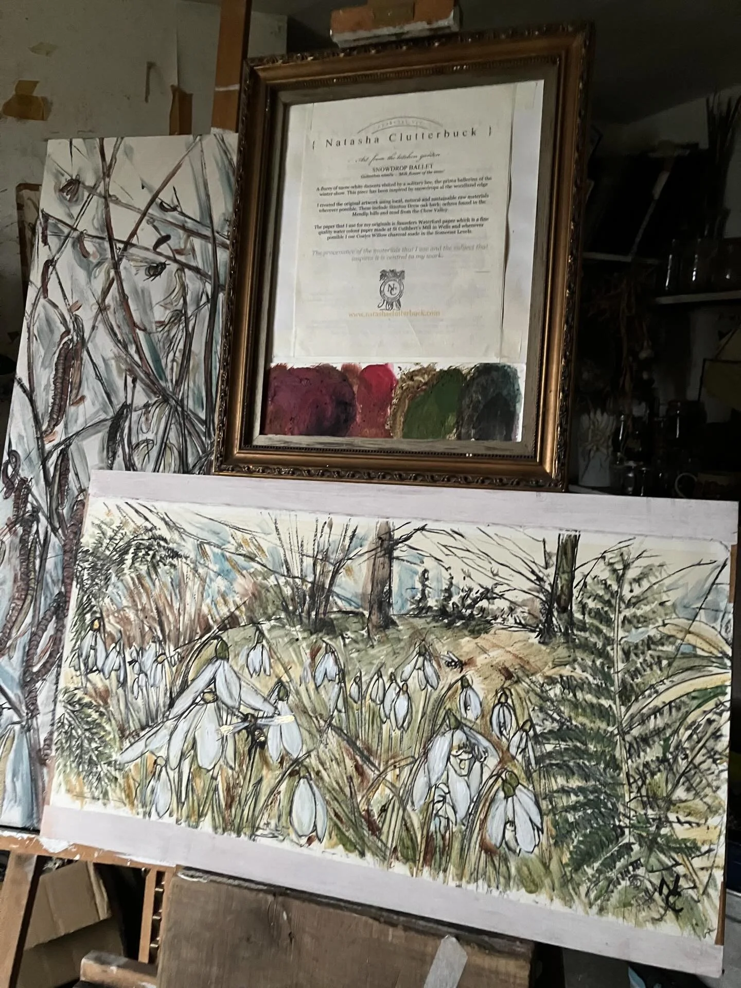 Snow drops - Galanthus nivalis - Milk flower of the snow.
A gathering of Snow White dancers. This one is called Snowdrop Ballet and is available as a limited edition print. You may have seen it on display @yeoorganicgarden at the snowdrop festival la