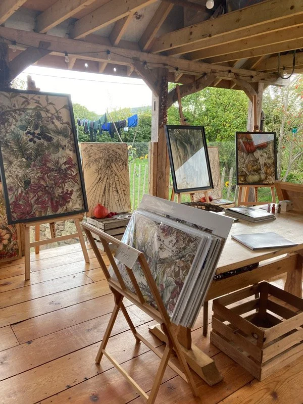Verand art trail - web.jpg