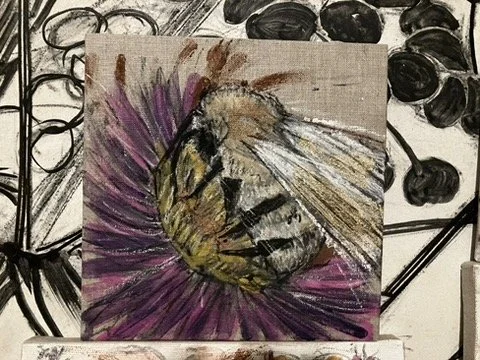 Bee Study - Deep Purple Aster & Common Carder Bee