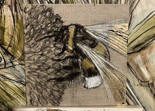 Bee Study - Bumblebee Landing...