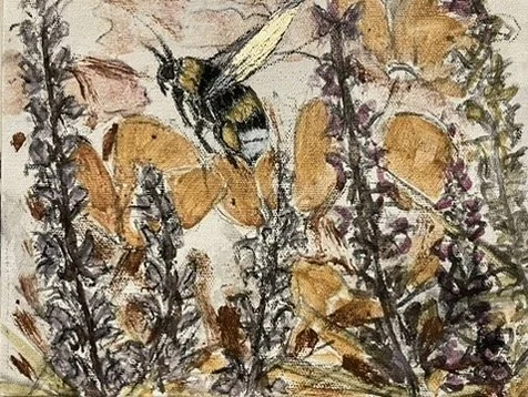 Bee Study - Flying Solo over the Rubbish Garden