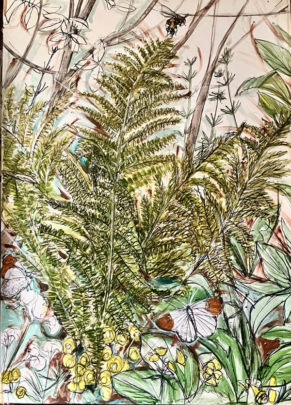 Ferns & Orange Tip Butterflies web.jpg