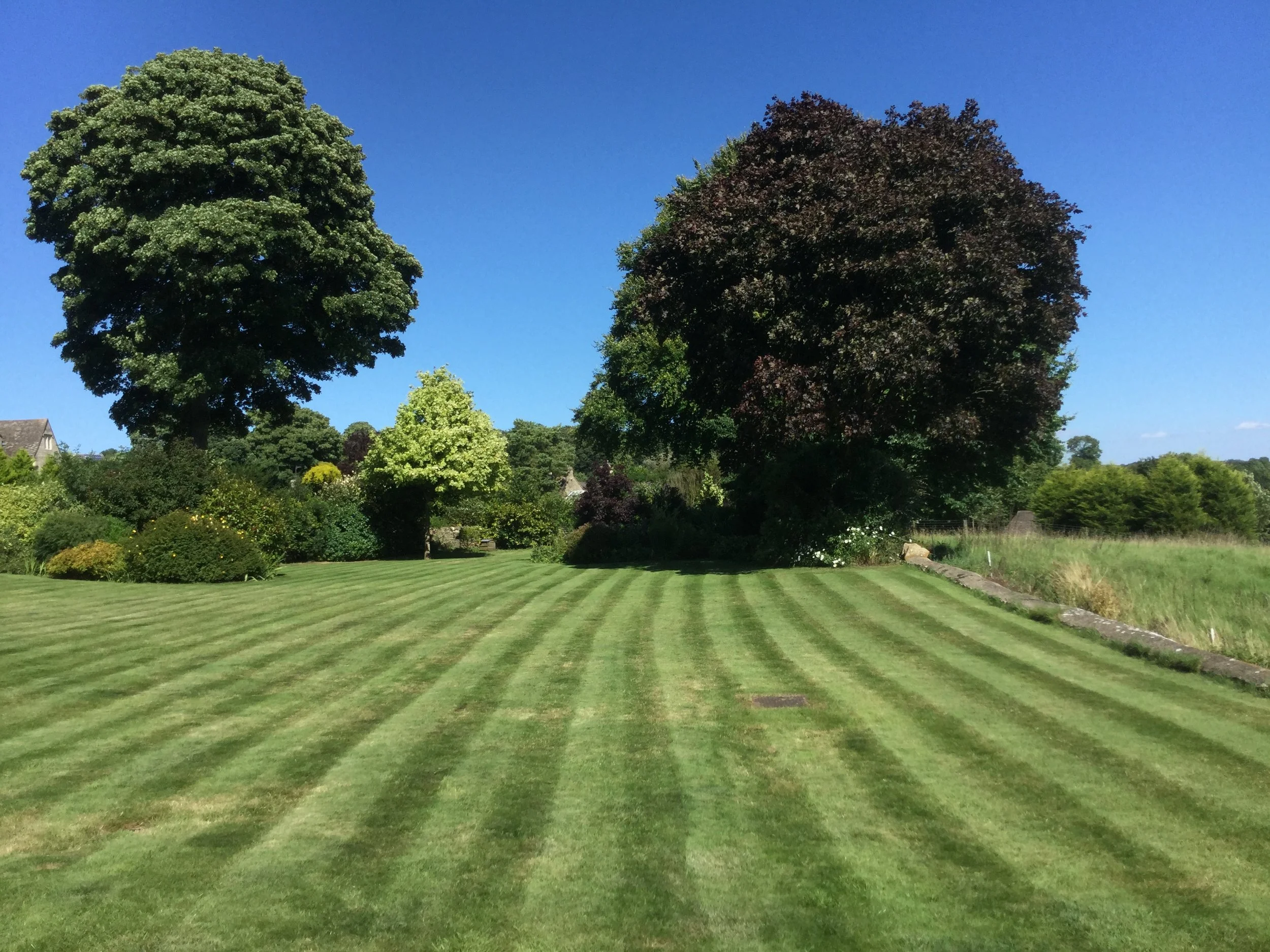 Back Garden.jpg