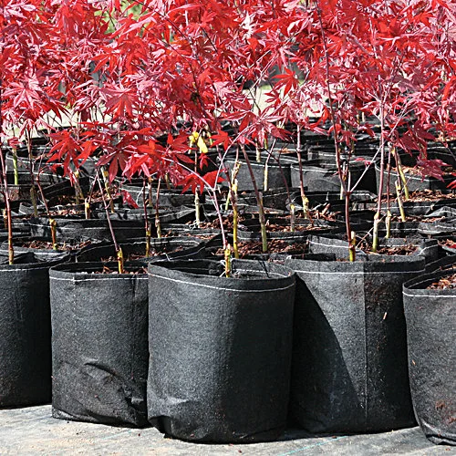 Root Pouch degradable pots can give your seedlings more time to grow before planting - and the pot can be planted right into the ground!